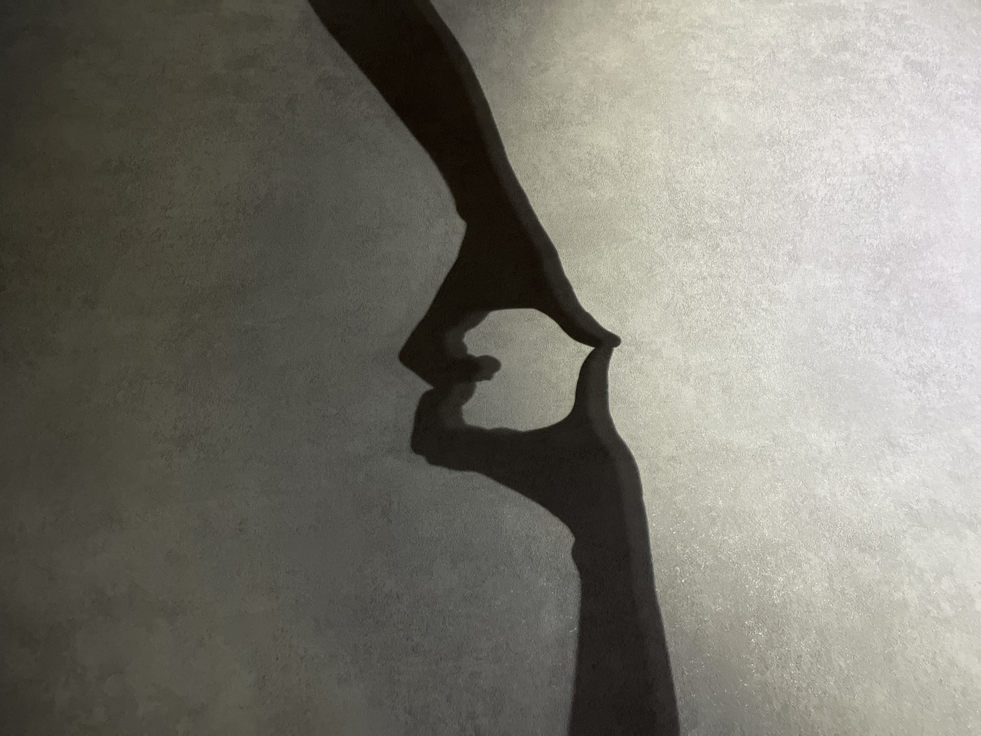 A high-angle shot shows two hands forming a circle with their fingers, casting a shadow on a textured gray background. The location and city of Chaikovsky, Russia cannot be determined from the image.