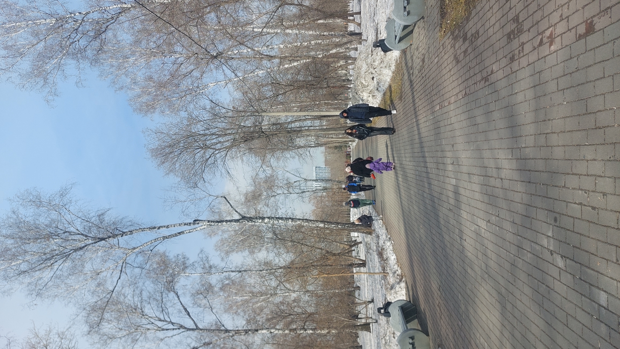 The image depicts a park pathway in Novosibirsk, Russia, likely in a winter or early spring setting due to the bare trees and snow patches alongside the walkway. The pathway is paved with gray bricks, showing a regular pattern and stretching into the distance. Several individuals are walking along the path, including adults and at least one child wearing a purple coat, suggesting a family outing. Bare trees line the pathway, creating a stark silhouette against a light blue sky. In the background, tall buildings can be seen, indicating an urban area. The angle of the shot and the tree trunks suggest a perspective looking up and along the path. The light conditions appear bright, casting shadows from the trees and people onto the brick pavement. A few park benches or similar objects are visible along the edge of the path.
