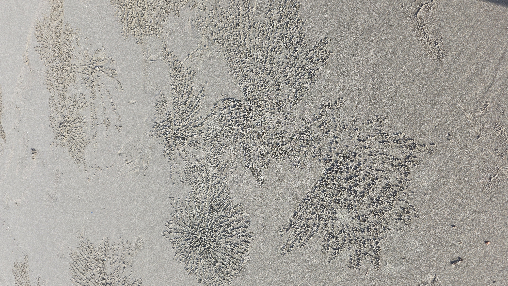 The image depicts a sandy surface, possibly a beach, covered with small, clustered sand balls arranged in radial patterns. The patterns appear to radiate outward from a central point, resembling floral or fractal designs. The sand is light grey and textured. The location is identified as Keudekruenggeukueh, Indonesia. There are no people or other discernible objects in the frame.