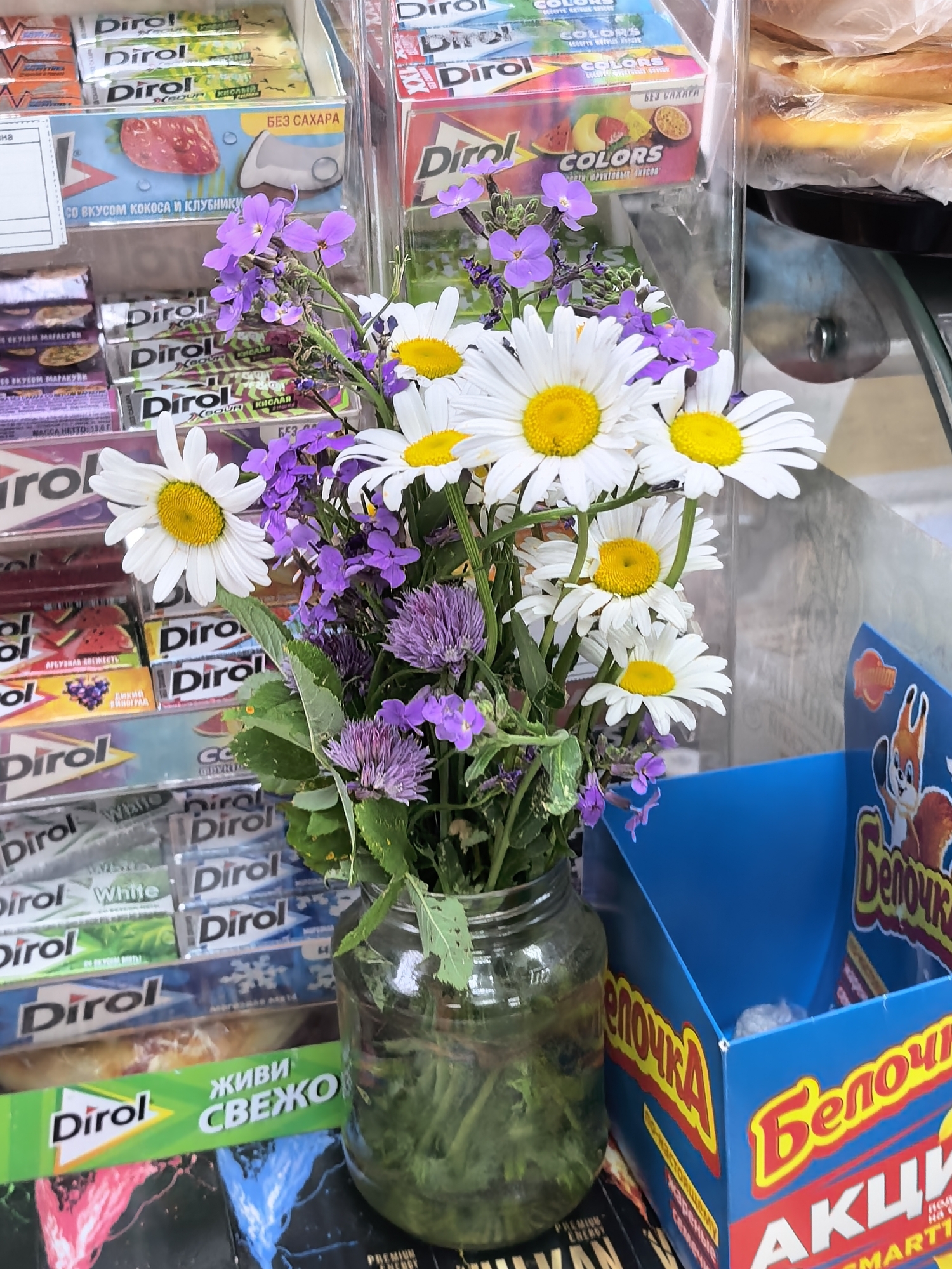 An image captures a close-up view of a vibrant bouquet of wildflowers set against a backdrop of retail products, likely in a shop or kiosk in Sterlitamak, Russia.
The central focus is a bouquet held in a clear glass jar, filled with water and green stems. It features numerous white daisies with bright yellow centers, interspersed with clusters of smaller purple flowers, possibly Dame's rocket or similar wild species, and some spiky purple blossoms resembling chives or allium. Green leaves and stems are visible within the jar.
Behind the bouquet, shelves are stacked with various flavors and types of Dirol chewing gum. Visible text on the packages includes "Dirol," "БЕЗ САХАРА" (Sugar-Free), "СО ВКУСОМ КОКОСА И КЛУБНИКУ" (With Coconut and Strawberry Flavor), "XSOUR КИСЛАЯ" (Sour), "COLORS," "АРБУЗНАЯ СВЕЖЕСТЬ" (Watermelon Freshness), "ДИКИЙ ВИНОГРАД" (Wild Grape), "White," and "ЖИВИ СВЕЖО" (Live Fresh).
To the right, a blue cardboard display box stands prominently, featuring a red squirrel mascot and the brand name "Белочка" (Belochka), a well-known Russian confectionery brand. The box also displays "АКЦИЯ" (Promotion/Sale) and mentions "жареные семечки" (roasted seeds). In the upper right background, some baked goods or pastries wrapped in clear plastic are faintly visible. On the bottom edge, a dark package shows partially visible text, "PREMIUM ENERGY."
The scene suggests a casual retail environment where everyday items are sold, brightened by the presence of the fresh wildflowers. No specific activity is occurring, and the time of day or weather cannot be determined.