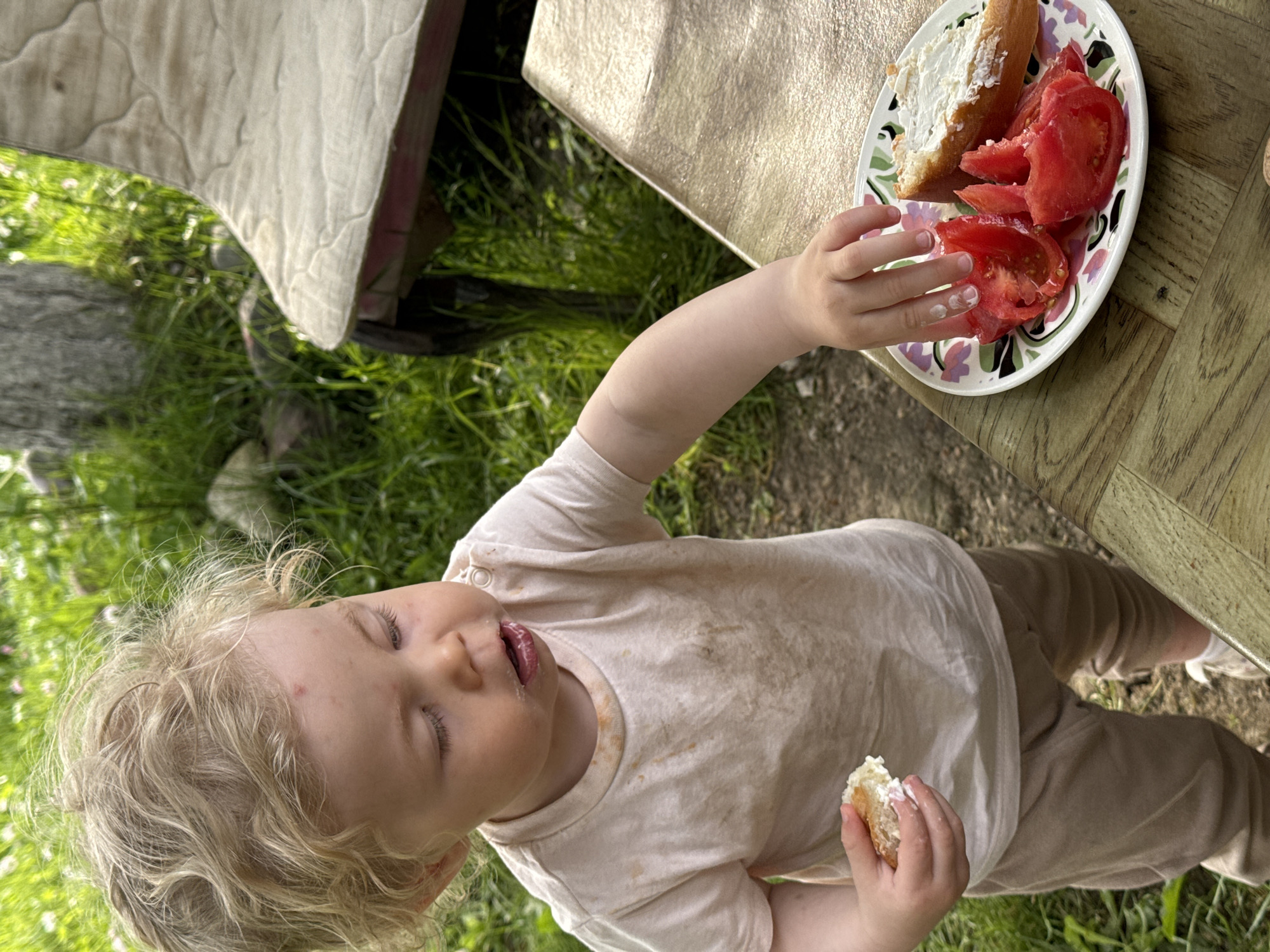 A young child with light blonde, curly hair is the central subject of this high-angle outdoor photograph. The child is wearing a light-colored t-shirt, stained with food, and beige pants. Their eyes are closed or squinting, and their mouth is slightly open with remnants of food, suggesting they are actively eating or have just finished a bite. In their left hand, they hold a piece of bread spread with a white substance, likely cream cheese or butter, which is also visible on their fingers.
The child stands next to a wooden table, reaching with their right hand towards a white plate with a purple and green floral design. On the plate, there's another piece of bread with the white spread and several bright red slices of tomato. The ground is covered in vibrant green grass, indicating an outdoor setting, possibly a garden or yard in Красный Маяк, Russia. In the upper left background, a light-colored, quilted mattress is propped up, adding to the informal scene. The bright lighting suggests it is daytime. There is no visible text in the image.