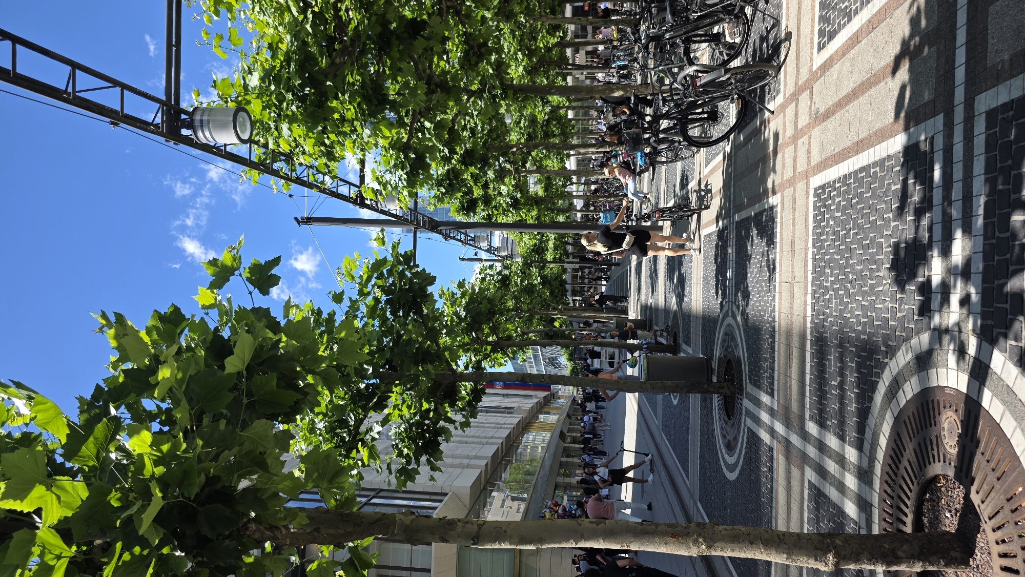 The image shows a sunny street scene with trees lining a pedestrian walkway. On the left, a modern building facade with large windows is visible. The walkway is paved with a patterned design of dark and light stones, with circular tree grates along the sides. People are walking, standing, and sitting in the scene. Several bicycles are parked in racks on the right side of the walkway. Overhead, there are light fixtures and what appear to be overhead wires. The sky is blue with some scattered clouds.