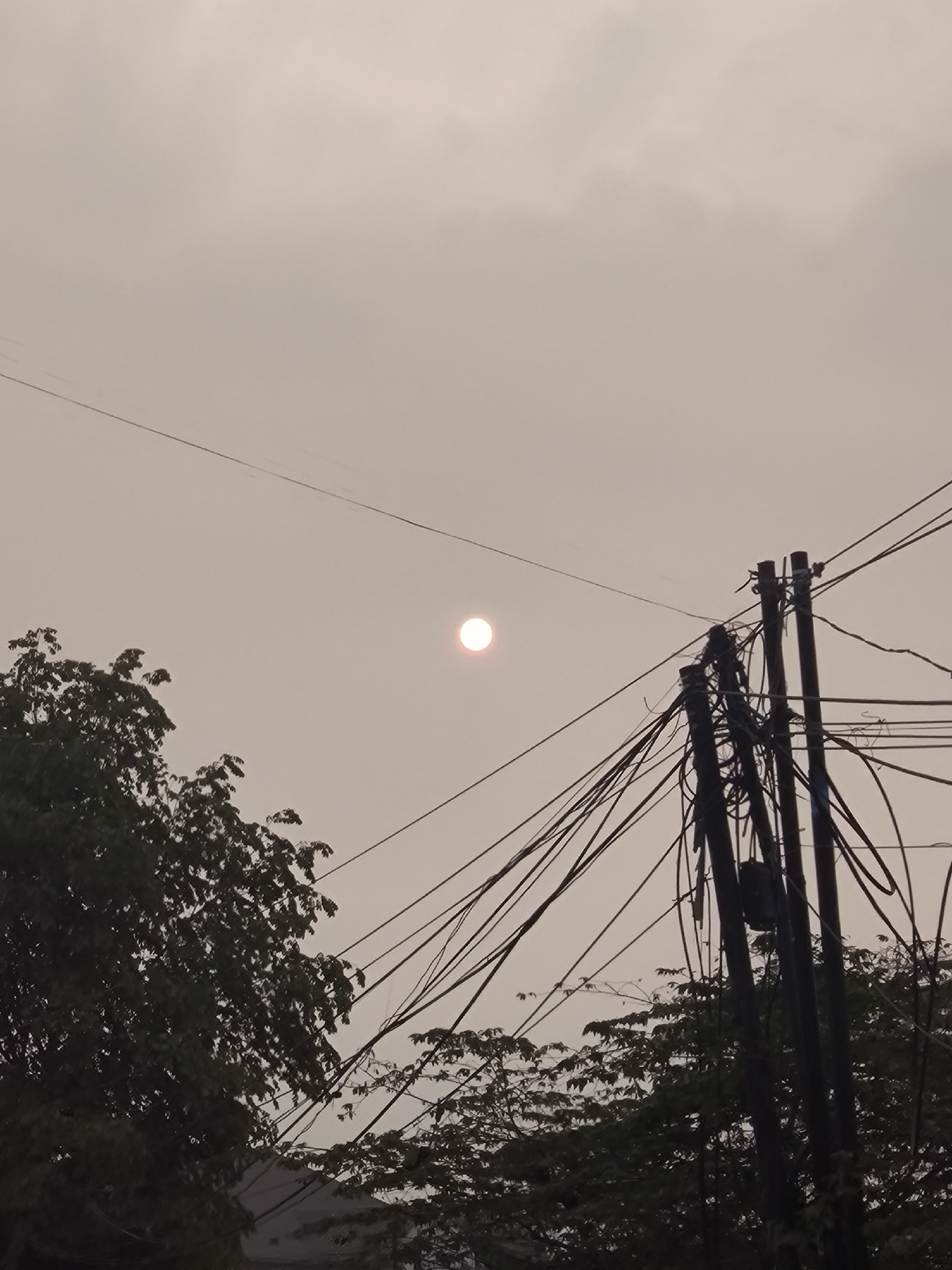 The image captures a hazy sky in Cilegon, Indonesia, with the sun appearing as a faint, pinkish disc. Dense foliage from trees frames the lower portion of the scene, obscuring the ground. A complex network of electrical wires and utility poles dominates the mid-ground and upper right, with wires crisscrossing and tangling around the poles. The overall atmosphere suggests overcast or polluted conditions, common in industrialized areas. No people are visible in the frame.