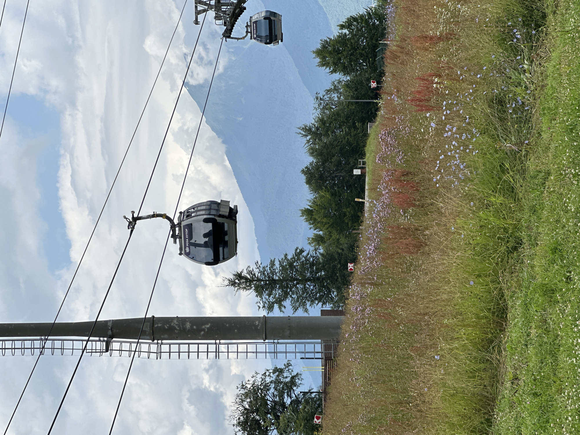 This image captures a mountain landscape with a ski lift operating. In the foreground, a meadow is filled with tall grass and various wildflowers, including small purple and white blooms, as well as some taller red stalks. A path or mown area runs through the grass. In the mid-ground, a concrete pylon supports the ski lift cables, with a ladder visible on its side. Two ski lift cabins are suspended from the cables; one is closer to the left, partially obscured by the pylon, and the other is further to the right. The cabin on the right has the Cyrillic text "РОЗА ХУТОР" visible on its exterior, indicating its location at Rosa Khutor, a resort in Estosadok, Russia. The background is dominated by hazy, blue-tinted mountains under a partly cloudy sky with white and grey clouds. Green trees, likely pines and other conifers, are scattered on the slopes between the meadow and the mountains. Red and white directional signs are also visible in the mid-ground. The overall scene suggests a scenic view from a mountain resort during daytime.