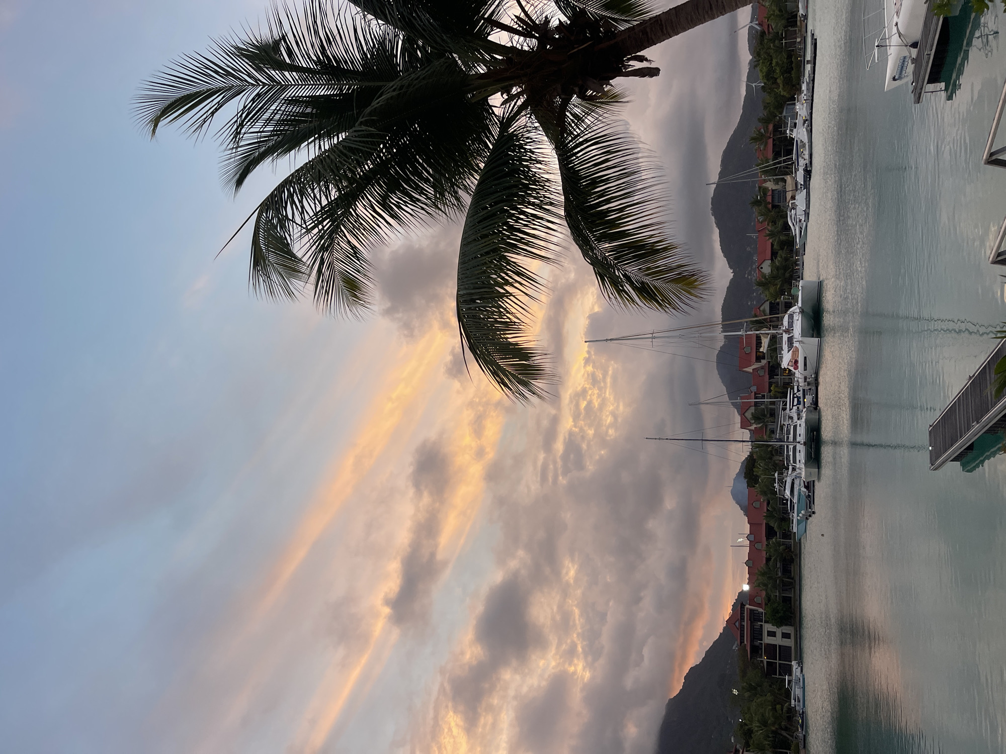 The image captures a serene harbor scene in Providence, Seychelles, during twilight. A large palm tree dominates the foreground on the right, its fronds casting shadows. The sky is a canvas of soft blues and oranges, with streaks of pink and yellow from the setting sun illuminating wispy clouds.
In the middle ground, a calm body of water reflects the muted colors of the sky. Several sailboats and smaller motorboats are docked along a marina. Some of these boats appear modern and sleek, with white hulls and tall masts.
Along the shoreline, there are buildings with reddish-tiled roofs, typical of Mediterranean-inspired architecture, interspersed with lush green palm trees. In the background, rolling hills rise, partially obscured by the fading light and clouds. The overall atmosphere is one of tranquility and peacefulness. No people are visible in the frame.
