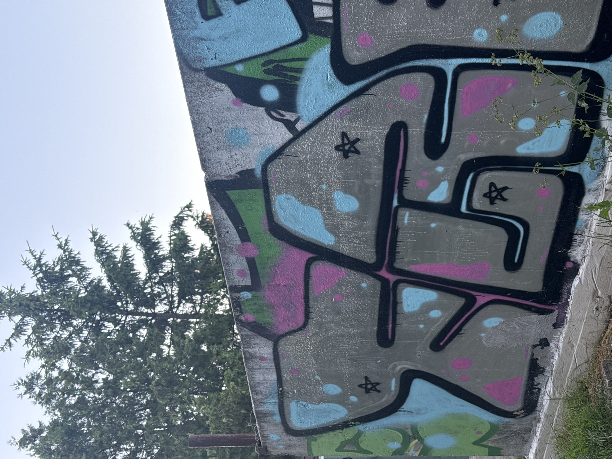 The media file displays a close-up, low-angle shot of a concrete surface covered in graffiti, positioned vertically within the frame. A large portion of the image is dominated by abstract graffiti art featuring bold black outlines and fills of grey, blue, pink, and green. Splatters of pink and light blue paint are scattered across the grey sections, and some of the letters or shapes have a stylized, blocky appearance. A small, hand-drawn black star is visible within one of the grey sections. To the left of the graffiti, the dense green foliage of a tall evergreen tree is prominent, with its branches reaching upwards. The sky above is a clear, bright white, suggesting daylight, possibly a sunny day given the brightness. A thin, horizontal metal pole or pipe is visible towards the bottom of the image, partially obscured by the tree. The scene appears to be outdoors, with a natural setting implied by the tree and what appears to be dry grass or weeds growing along the bottom right edge. The graffiti is applied to what seems to be a curved or angled concrete structure. The overall impression is one of urban art interacting with nature. No people are visible.