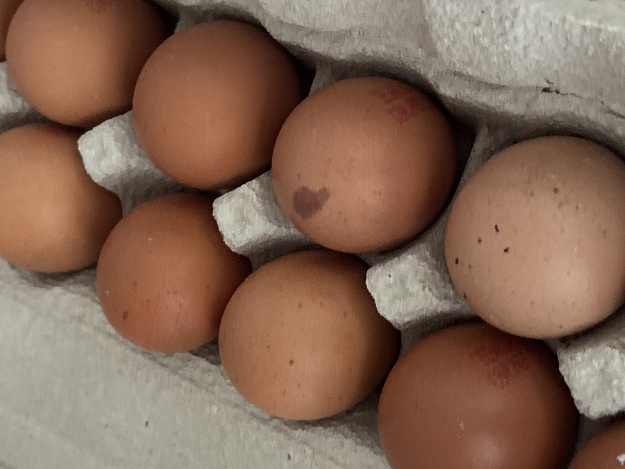 An overhead, eye-level medium shot shows eight brown chicken eggs nestled in a gray cardboard egg carton. The carton's compartments are visible, with the eggs filling seven of them. Some of the eggs have small brown speckles, and two of the eggs in the center of the frame have red stamps on their shells. The lighting is natural and casts soft shadows. There is no visible indication of the location in Orihuela, Spain.
