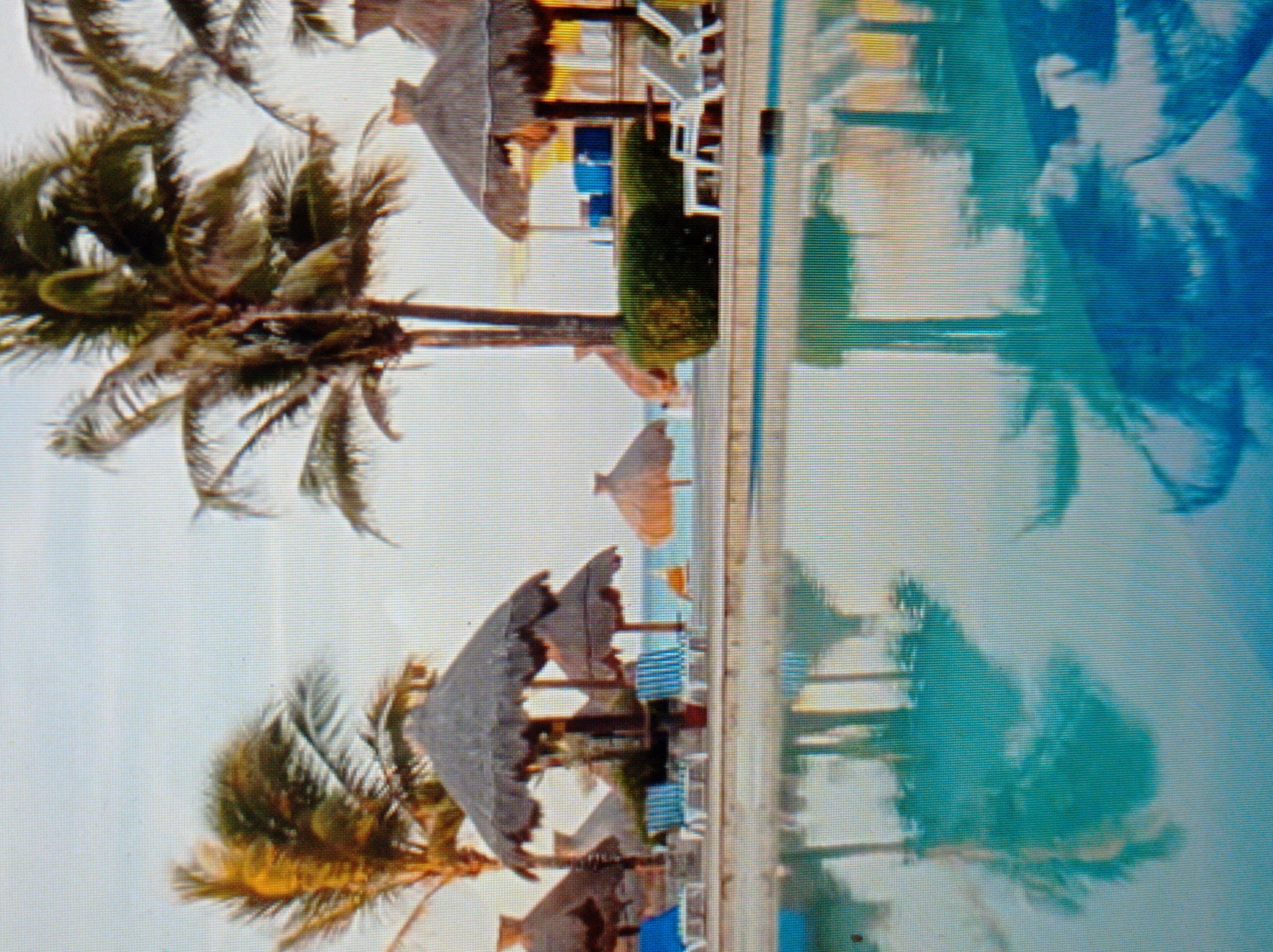 The image depicts a tropical resort scene with a swimming pool in the foreground, reflecting palm trees and thatched-roof umbrellas. In the background, there are lounge chairs and more umbrellas, with a beach and the ocean visible beyond. The sky is overcast and pale. There are no people visible in the image. The location is identified as the city of Mukachevo, Ukraine.