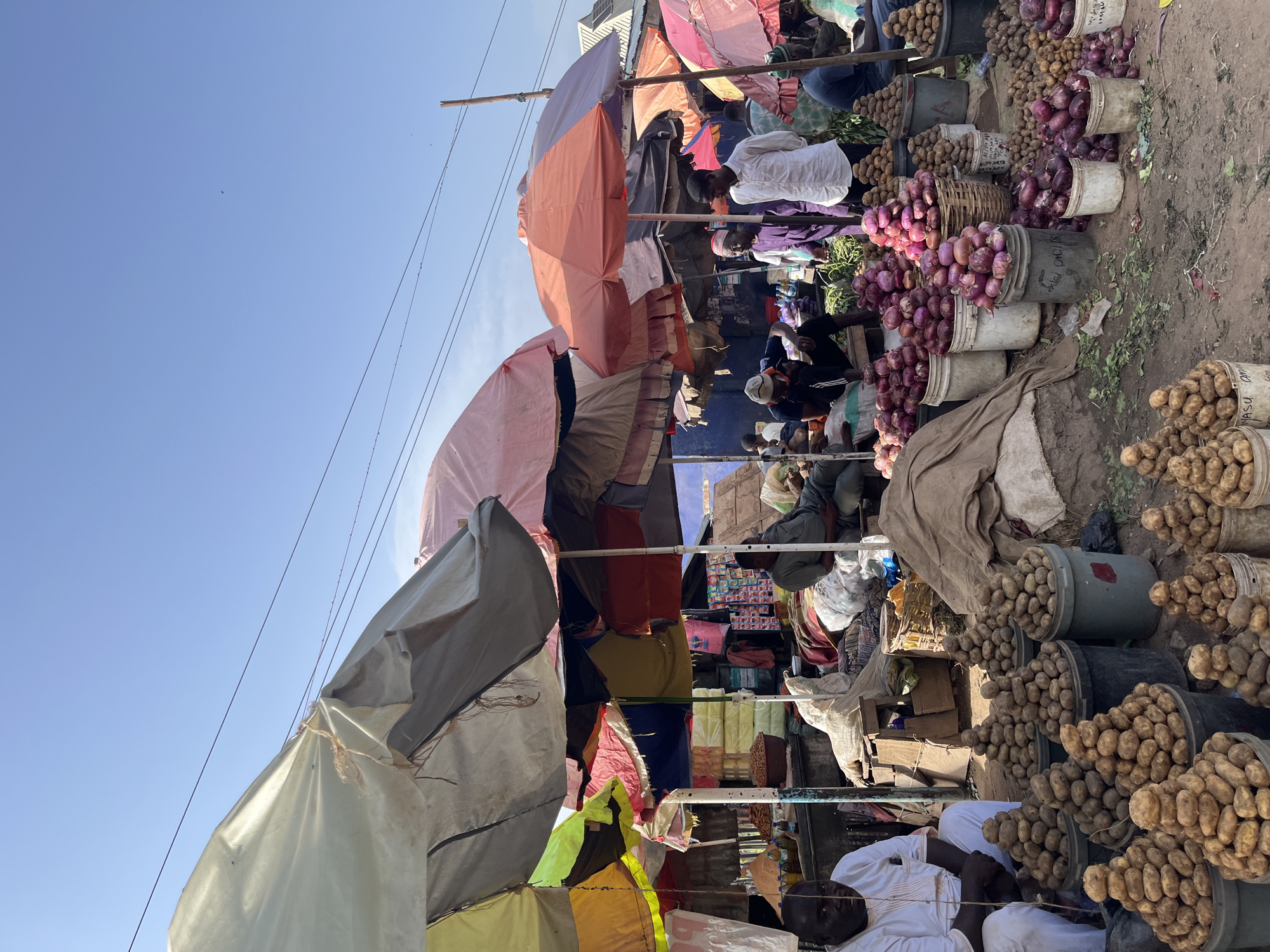 The image depicts a bustling outdoor market scene, likely in Rafin Par, Nigeria. The primary subjects are the numerous vendors and shoppers present, along with an abundance of produce, predominantly onions and potatoes, displayed in buckets, baskets, and piles. The scene is characterized by an array of colorful umbrellas providing shade over the stalls, creating a vibrant, layered effect against the clear blue sky.
The activity taking place is the buying and selling of goods in a market setting. People are seen interacting, some seated, others likely browsing or tending to their stalls. The overall atmosphere appears lively, though some individuals seem relaxed or contemplative, suggesting a typical day of commerce.
Notable details include the clear, bright sky, indicative of daytime with good weather. The ground is dusty, common in outdoor markets in dry regions. The produce, particularly the large quantities of red onions and potatoes, is a dominant visual element, highlighting the agricultural focus of the market. The diverse collection of umbrellas, in various colors and states of repair, adds to the market's character. The presence of overhead wires suggests an urban or semi-urban environment with access to electricity.
There is some visible text on the buckets containing the produce, though it is largely illegible or written in a local script that cannot be identified from the image. The text appears to be labels or pricing information. No specific emotions are overtly conveyed, but the general impression is one of ordinary, everyday market activity.