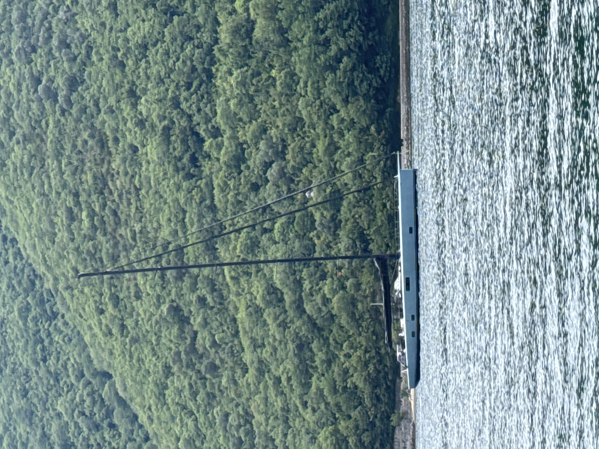A sailboat with dark masts is anchored on the calm, rippling water of a bay in Đurići, Montenegro. The sailboat is a modern design with a sleek, dark hull. To the left of the sailboat, a densely forested, steep hillside rises from the water's edge, covered in lush green trees. The hillside appears to be covered in a dense canopy, suggesting a warm, possibly humid climate. The water's surface is a dappled mix of light and dark, indicating the presence of sunlight reflecting off the ripples. The scene is peaceful and serene, with the natural beauty of the landscape dominating the view. The time of day appears to be daytime, with ample natural light. No people are visible in the frame, and no text is present.