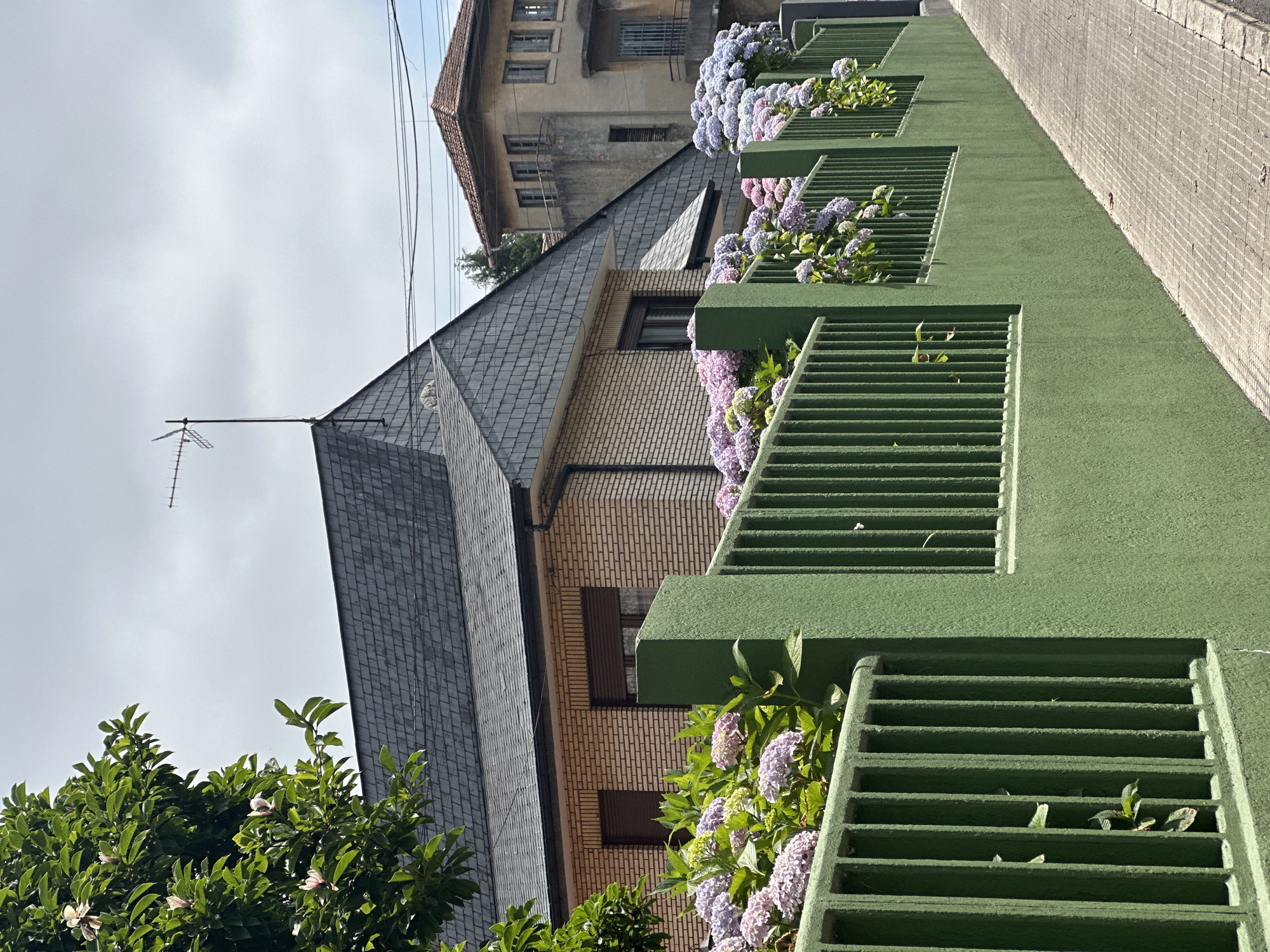 The image captures a view of a residential street in Oviedo, Spain, on an overcast day. In the foreground, a vibrant green, low-rise fence runs diagonally across the frame, separating the sidewalk from a property. The fence is topped with railings and adorned with lush clusters of hydrangeas in shades of pink, purple, and light blue, with some green foliage interspersed.
Behind the fence, a two-story house with light brown brick siding and a dark gray slate roof is visible. The house has dark-framed windows, some with dark brown shutters. A television antenna extends from the peak of the roof.
Further in the background, to the right, stands a taller, older building with a light beige facade and a red-tiled roof. This building has multiple windows and balconies. A large tree with green leaves and some white and pink blossoms is positioned in the upper left corner of the image. The ground is a paved sidewalk with a checkered pattern.