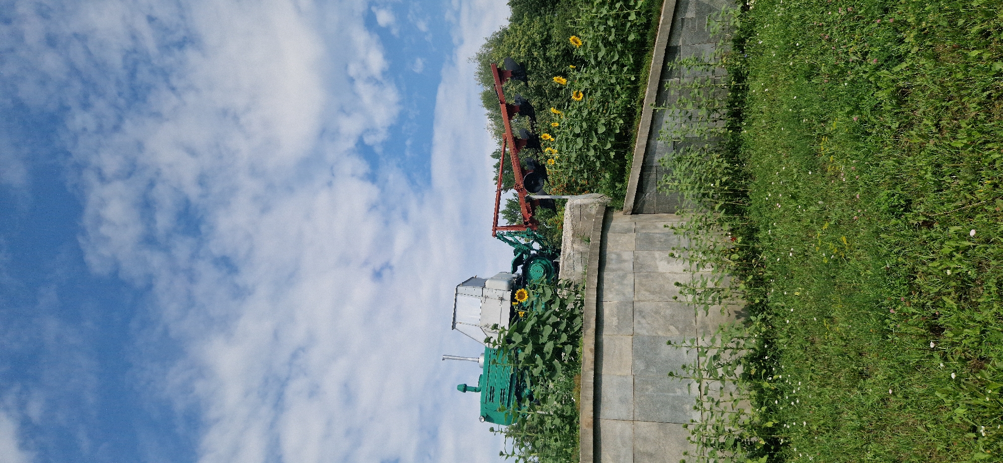 An old green tractor with a silver cab is parked on a concrete platform, adorned with large green plants and sunflowers. A red plow attachment is connected to the tractor. The platform is bordered by a stone wall, and the area in front of the wall is covered in green grass and small white and pink wildflowers. Trees form a backdrop to the scene. The sky above is blue with white clouds. This image was taken in Krasnoobsk, Russia.