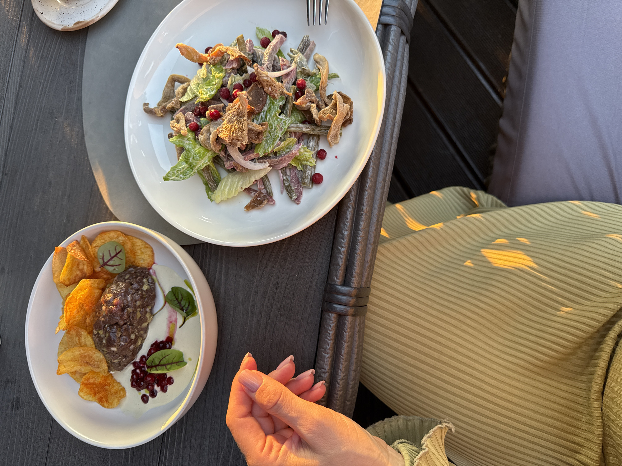 This overhead shot depicts an outdoor dining scene in Urlu-Aspak, Russia, bathed in the warm, directional light of late afternoon or early evening. A person's hand, with neatly manicured nails, rests in the foreground, illuminated by the sunlight. They are wearing light green or khaki ribbed clothing, also highlighted by the golden glow.
Two distinct dishes are presented on a dark wooden plank table. The upper plate holds a salad featuring mixed greens, thinly sliced red onions, a scattering of small red berries (likely cranberries or lingonberries), and numerous irregular, brown pieces resembling cooked wild mushrooms or possibly dried meat. A fork is placed on the edge of this white plate.
The lower plate showcases a dish centered around a dark, coarse mound, which appears to be a form of steak tartare or similar ground meat preparation. This is accompanied by a generous portion of golden, crispy potato chips, a swirl of creamy white sauce, and garnished with additional red berries and small green leaves.
To the right, part of a dark, woven outdoor chair is visible, along with a gray cushion or pillow. A small, speckled ceramic cup or dish can be seen in the top left corner, partially out of frame. The overall impression is one of a refined, relaxed meal enjoyed outdoors under a clear, sunny sky.