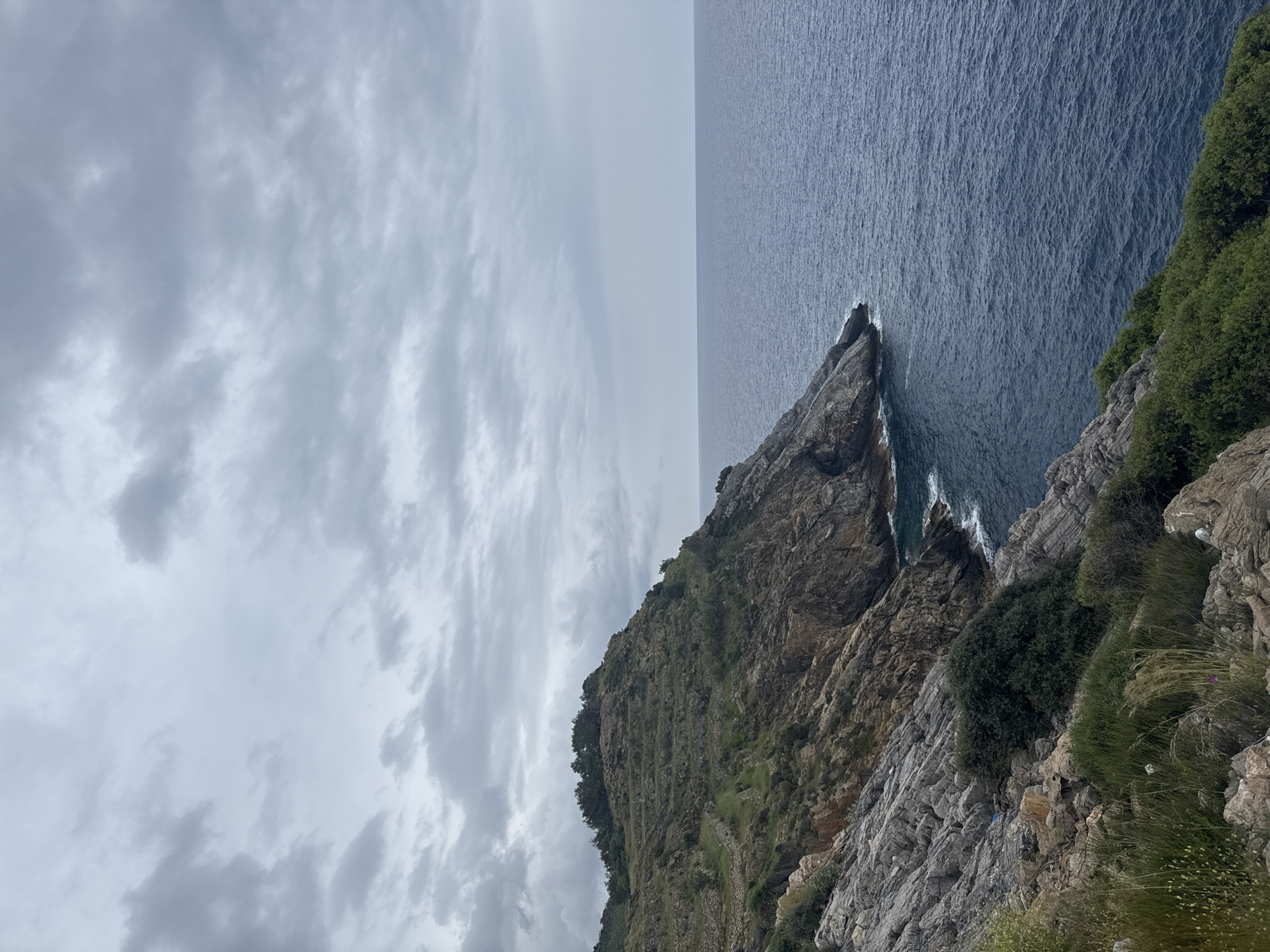 The image shows a rocky cliff overlooking the sea, under a cloudy sky. The cliff has vegetation growing on it, including some bushes and grass. The sea is a dark blue color, and there are some waves visible. The location is in the city of Unknown, Unknown.