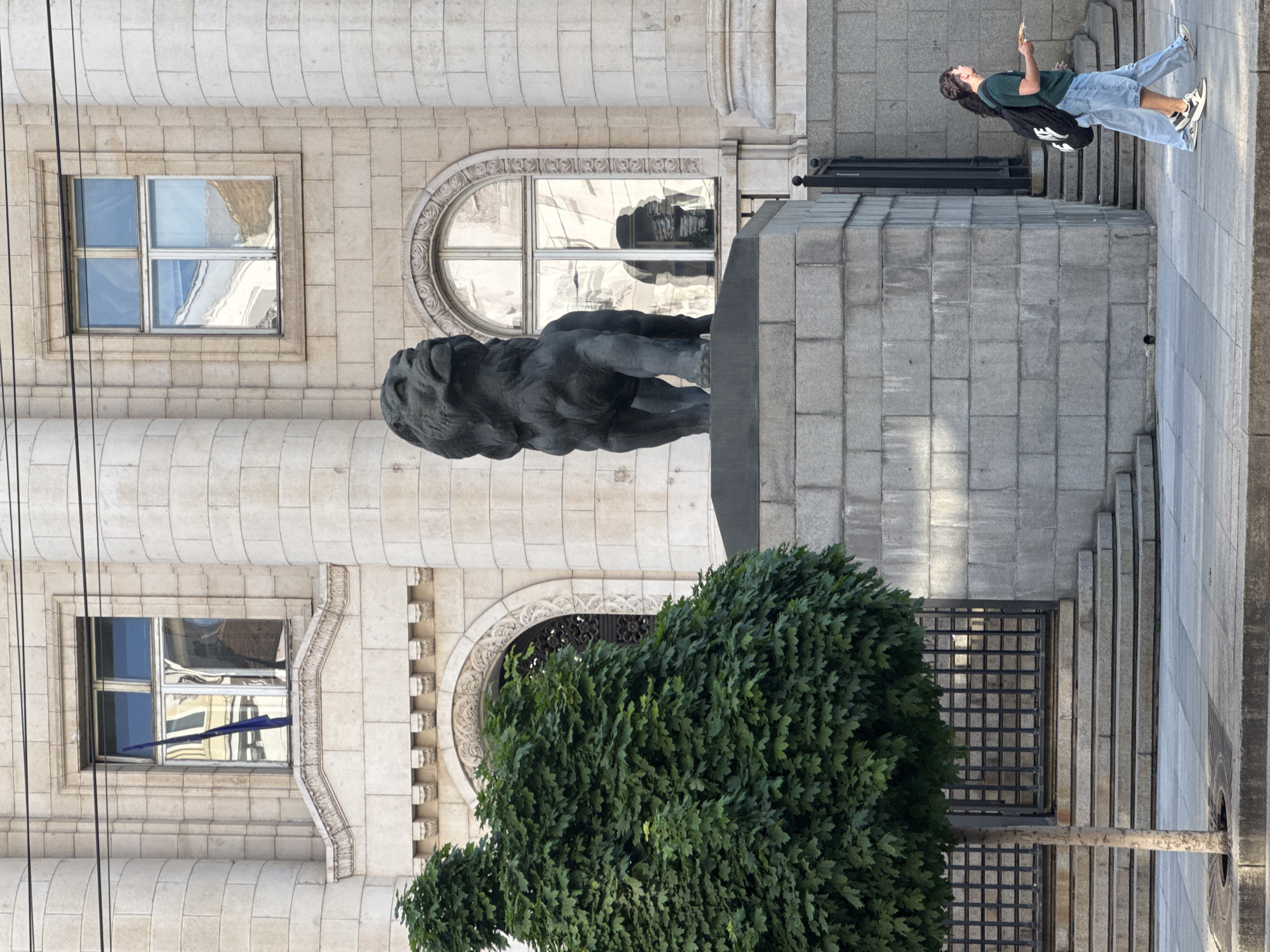The image captures an urban street scene in Sofia, Bulgaria, on a bright, sunny day. The focal point is a person, a young male, standing on a grey paved sidewalk. He is dressed in a dark green t-shirt, light blue jeans, and sneakers, and carries a black shoulder bag with the white text "SUPREME" visible on its side. He is looking upwards, holding a mobile phone in his hand, possibly taking a photo or video.
To the person's right, and slightly in front, stands a dark-colored statue of a lion, positioned on a grey stone pedestal. Behind the statue and the person is a grand, multi-story building constructed from light-colored, possibly limestone or concrete, blocks. The building features ornate architectural details, including decorative moldings around its various windows. There are both rectangular windows with multiple panes and arched, round-top windows. The windows reflect the bright sky and surrounding structures, with one rectangular window on the left side of the building showing a blue flag or piece of fabric hanging out.
In the lower left portion of the frame, a dense, leafy green bush or small tree partially obscures the base of the building and the ground. The ground consists of various grey stone paving slabs and concrete steps leading up to an entrance on the right side of the building. Metal grates are visible on the pavement near the bush and extending towards the building. Several black electrical wires run vertically down the left side of the image, partially overlaying the building's facade. The scene depicts a calm daytime moment in an architecturally rich setting.