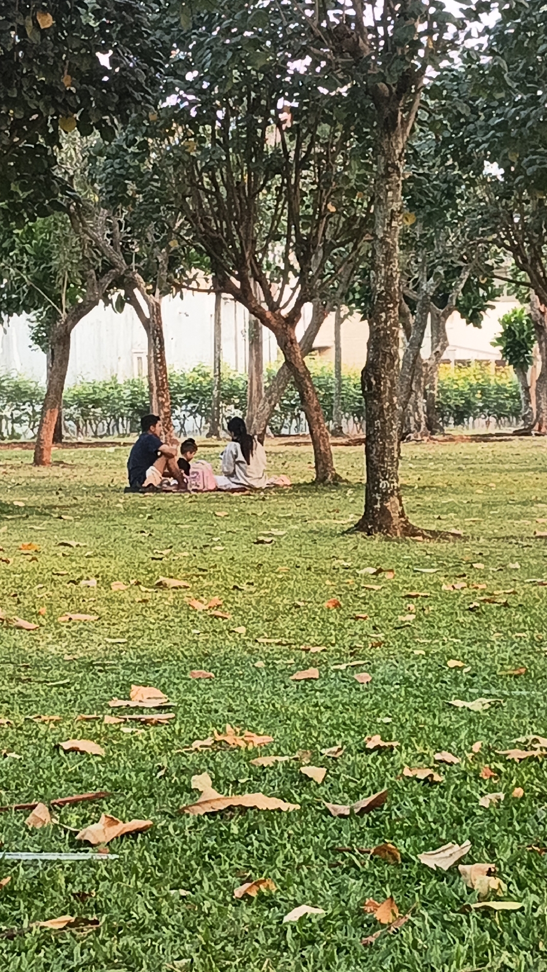 In Bacin, Indonesia, a family picnic is underway on a grassy lawn under the shade of mature trees. A man and two children are seated on a dark mat. The man, wearing a dark blue t-shirt and light-colored shorts, faces away from the camera. To his left, a young child, appearing to be a girl, is dressed in pink and has her hair in a bun. Beside her, another child, possibly a baby, is also seated. A woman in a light gray long-sleeved top and light-colored pants sits on a pink blanket, facing the children and child. In the background, a dense line of green bushes separates the picnic area from a building. Fallen leaves are scattered across the lawn, indicating an autumn or dry season setting. The overall atmosphere suggests a peaceful family gathering.