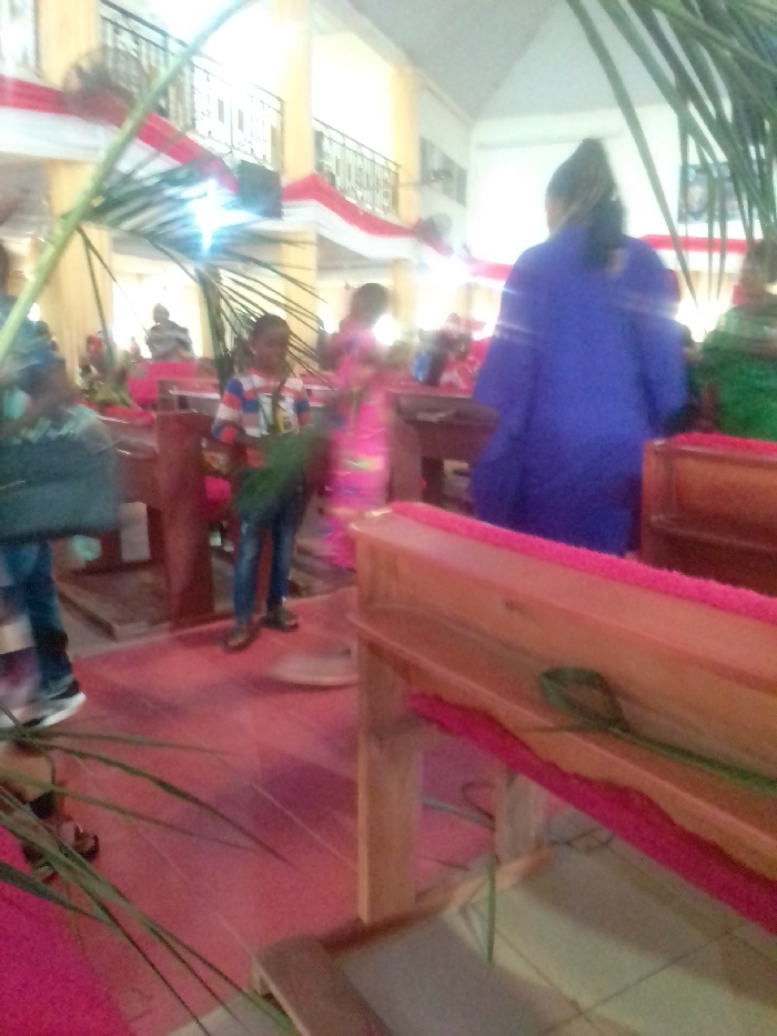 The image shows the interior of a church in Auchi, Nigeria (latitude: 7.068, longitude: 6.269). The scene is a crowded church service. People are gathered in pews, many of them holding palm branches in their hands. Several people are visible in the image, including a woman in a blue dress standing in the middle of the aisle, a man wearing a green and white shirt, and a young boy wearing a colorful shirt and jeans. The church is decorated with red and white streamers and a large palm tree branch is prominently featured in the foreground, with its leaves partially obscuring the scene. The pews are made of wood and are covered in red fabric. The floor is tiled in a light color. The overall atmosphere is one of reverence and solemnity, suggesting a religious service is taking place.