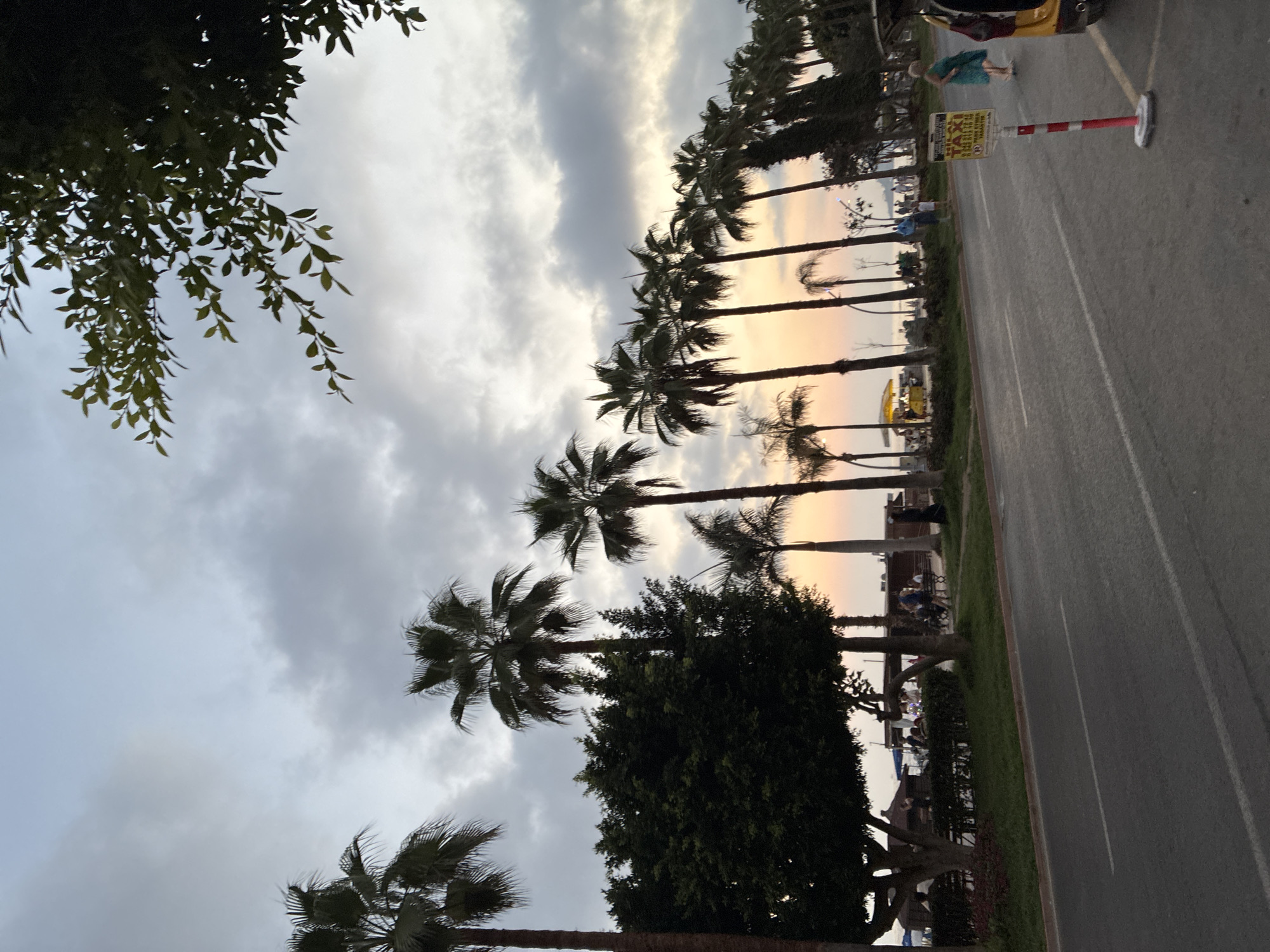 The image depicts a street scene in Alanya, Turkey, near the coast. The sky is overcast with scattered clouds, and the lighting suggests it is either early morning or late evening, with a soft glow of sunset visible on the horizon. Palm trees line the street, with a dense green tree and bushes in the foreground left. Several people are visible on the sidewalk and in the distance, some appearing to be seated at outdoor establishments. A yellow taxi is parked on the right side of the road, and a sign with Turkish text that appears to be a taxi advertisement is mounted on a pole in the foreground. The street is paved with asphalt and has white lane markings. The overall atmosphere is relaxed and leisurely.
