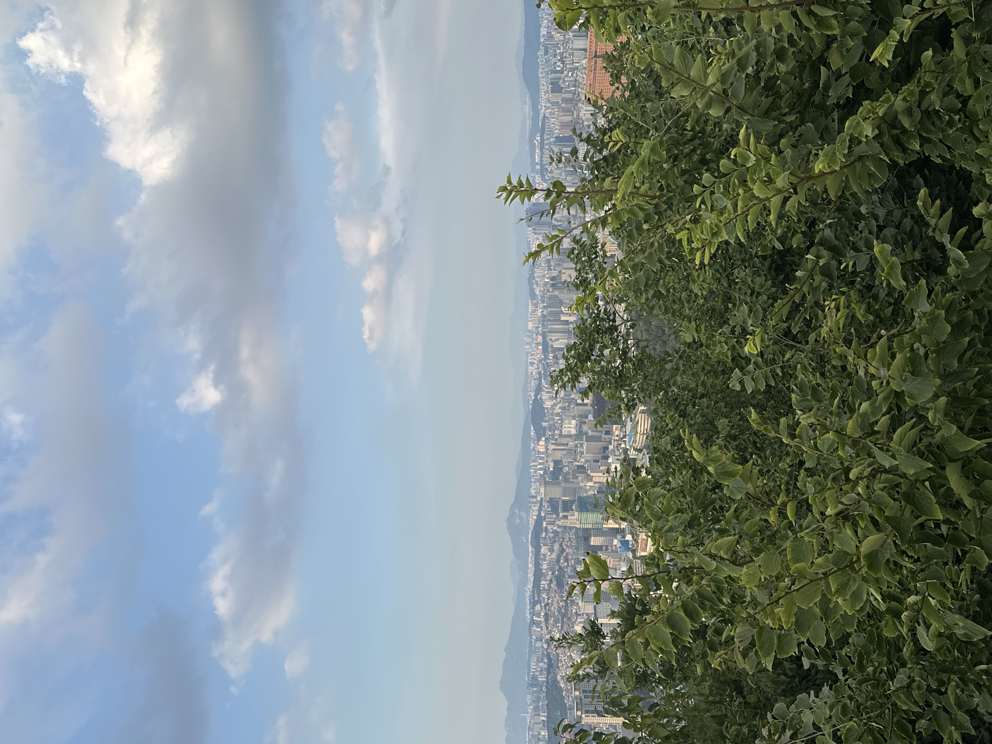 The image captures a panoramic view of Seoul, South Korea, from an elevated vantage point. In the foreground, dense green foliage of trees and bushes obscures the lower portion of the scene, with branches and leaves dominating the bottom half. Beyond the foliage, a sprawling cityscape unfolds, characterized by numerous buildings of varying heights, including high-rise apartments and office towers, stretching towards the horizon. The city appears densely populated. In the distance, a range of mountains forms a natural backdrop against the sky. The sky is a soft blue, interspersed with scattered white and gray clouds, suggesting an overcast or partly cloudy day. The lighting indicates it is likely daytime, possibly late afternoon, given the softness of the light and the colors. There are no discernible people or animals in the frame. The overall impression is one of a vast urban landscape nestled among natural mountainous terrain.