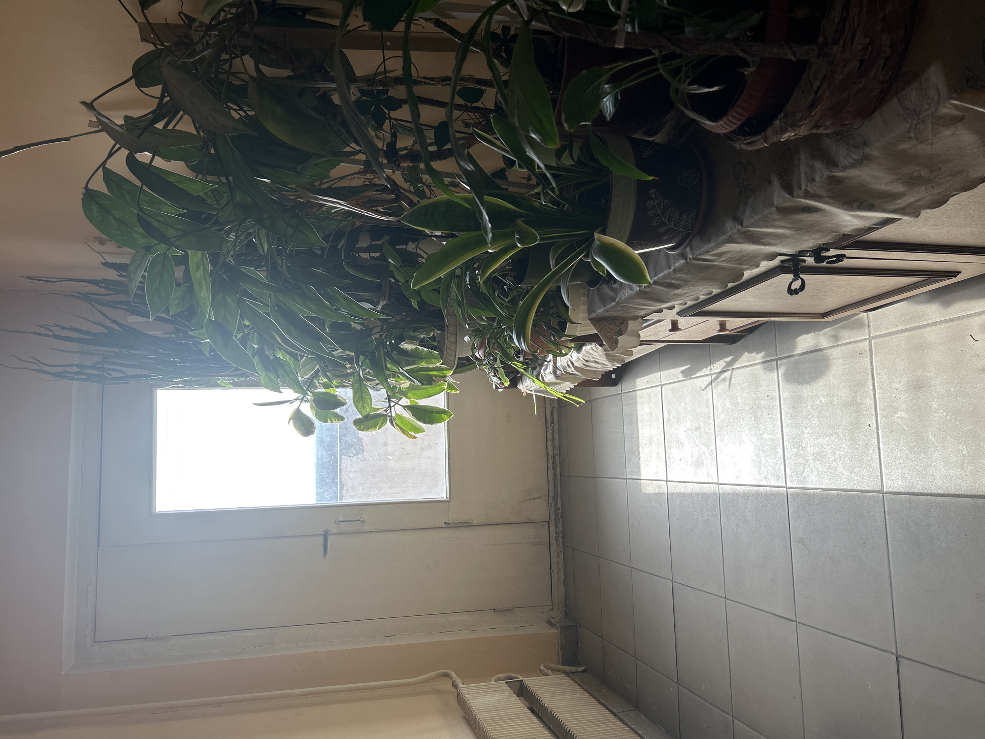The image shows an interior space with a variety of elements. The focal point includes potted plants with trailing foliage positioned on a surface near a window. The window itself is white-framed and allows natural light into the room. The wall is painted a light peach color. On the floor are light grey tiles. A small decorative chest is also on the surface the plants are on. The room appears to be in a building, possibly a residence. The city of Moscow, Russia, is not definitively identifiable in this picture. More information is needed to make that determination.