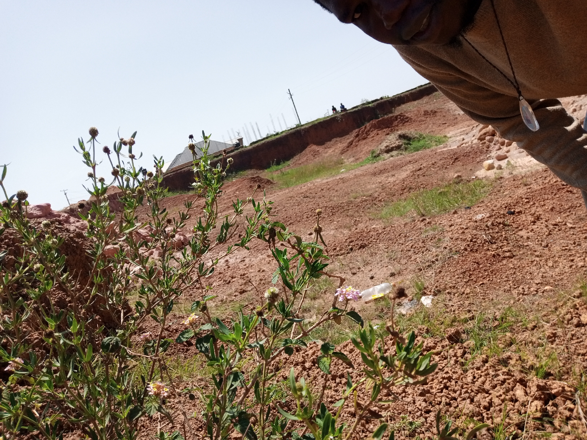 The image captures a construction site in Reifild-Ist, Nigeria, characterized by a prominent dirt embankment. In the foreground, several green plants with buds and a few small pink flowers are visible. A discarded plastic bottle and other debris are scattered on the ground. In the background, a partially constructed building with visible rebar and construction materials suggests ongoing development. A utility pole stands on the embankment, with two individuals walking along the ridge. The overall scene depicts a somewhat undeveloped and arid environment undergoing construction. The perspective is from ground level, looking up at the embankment and the sky. A person's face and shoulder are visible in the upper right corner, looking down at the scene.