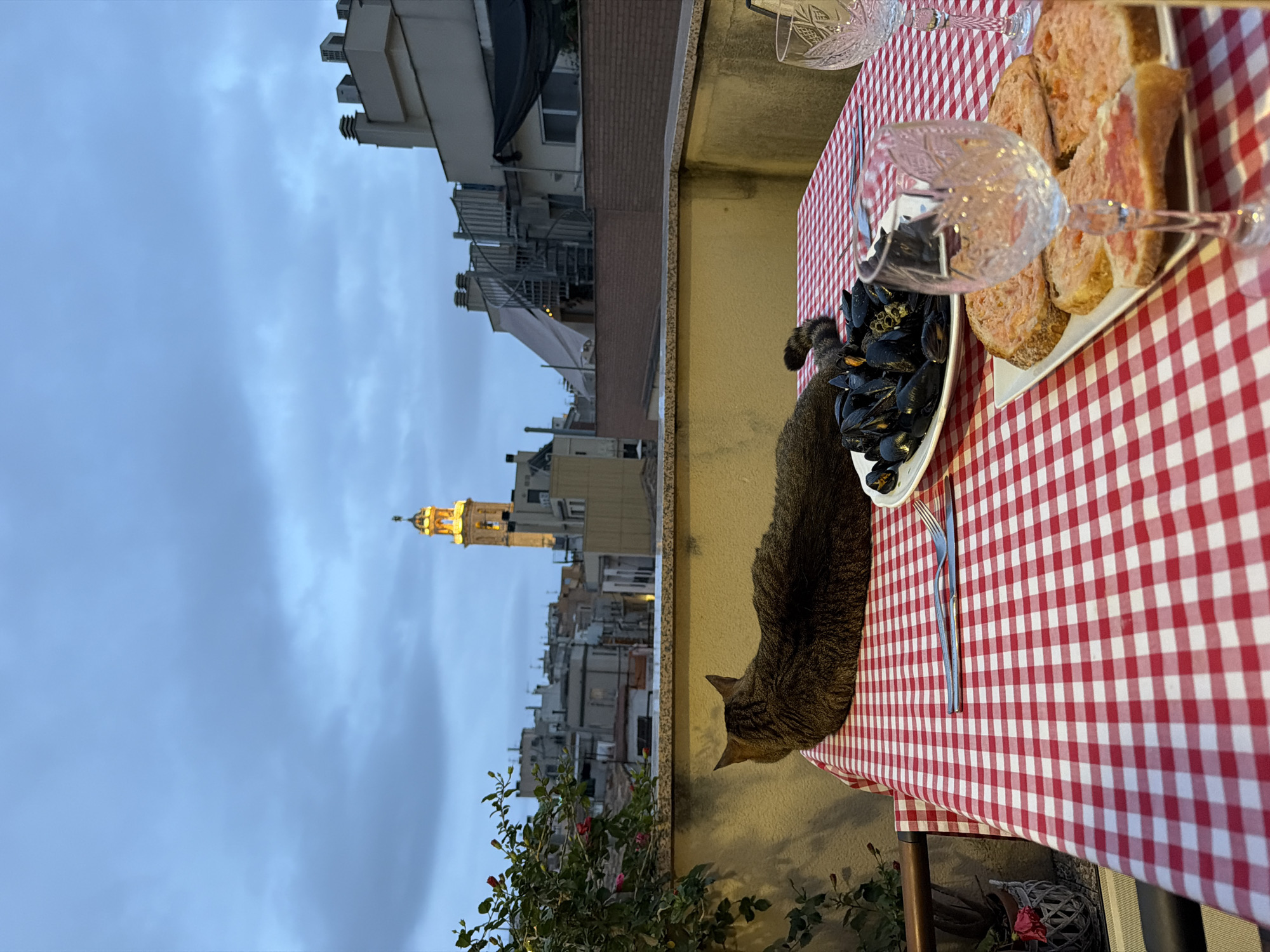 A tabby cat lies stretched across a table covered with a red and white checkered tablecloth, looking out at a cityscape at dusk. In the foreground, a plate of mussels and slices of bread topped with a red spread are visible, along with two empty wine glasses and a fork. A leafy plant with pink flowers is positioned to the left of the table. In the background, buildings and a tall, illuminated tower, likely the campanile of the Church of Sant Bartomeu i Santa Tecla in El Vendrell, Spain, are visible against a cloudy sky. The scene suggests an outdoor dining experience on a rooftop or balcony.