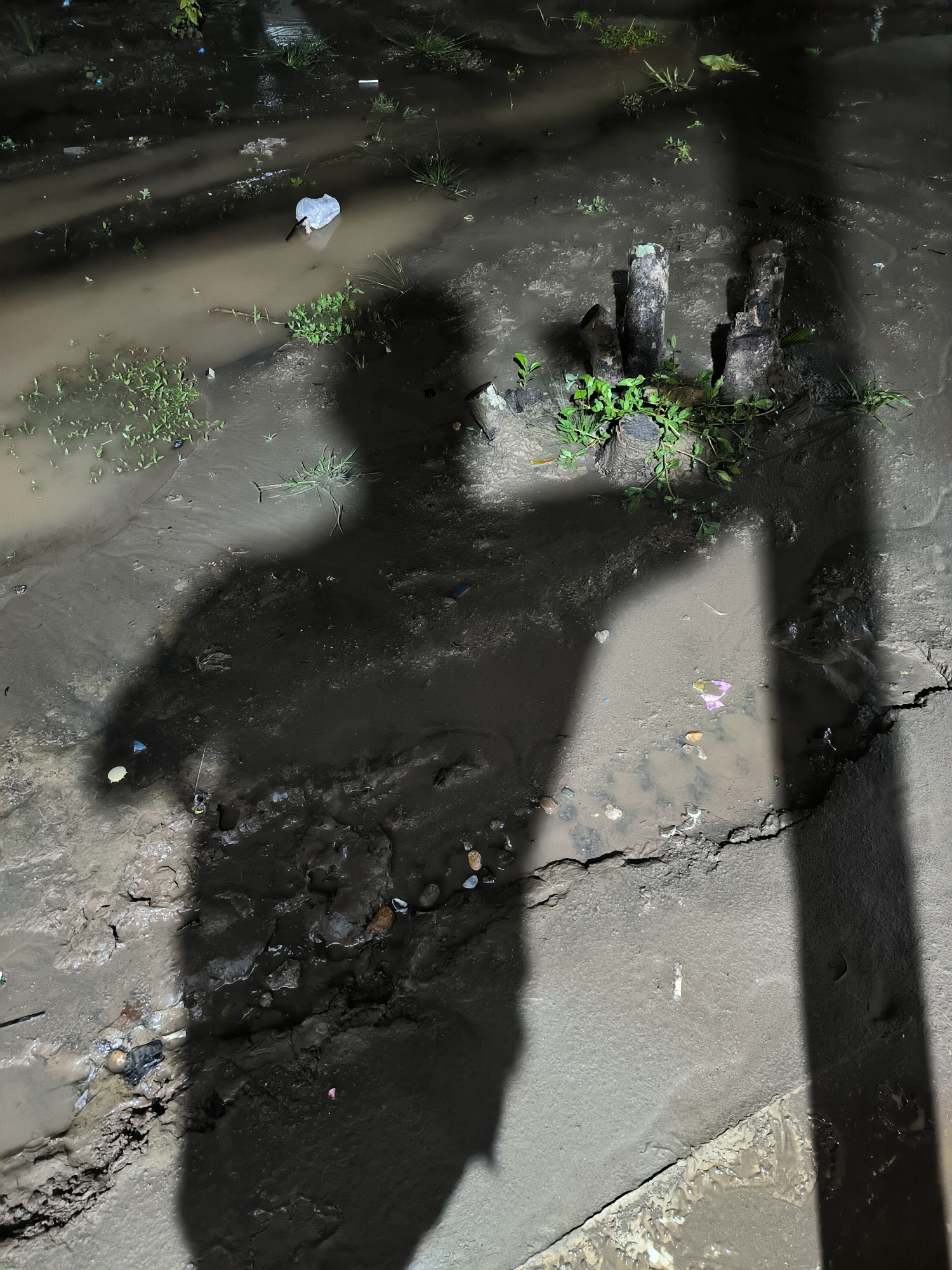The image shows a flooded, muddy area in Pantebarobukitpanyang, Indonesia. The ground is covered in standing water, with small patches of grass and vegetation visible. There is a cluster of short, weathered wooden posts emerging from the water, surrounded by some green plants. The shadow of a person or object is cast across the water and ground, obscuring details of what lies beneath. The edge of a paved surface is visible in the lower right of the image. Debris and small objects are scattered in the mud and water.