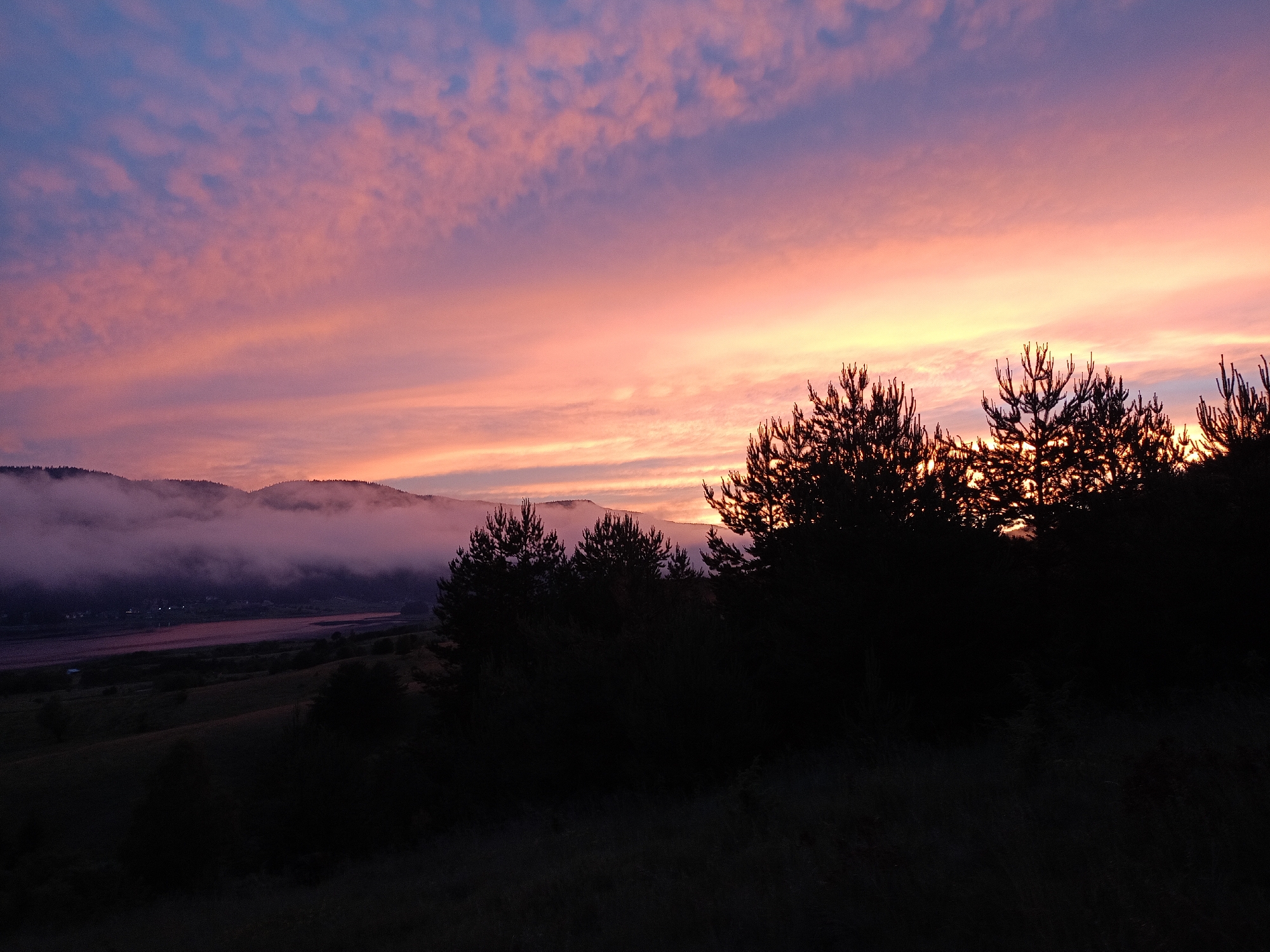 This image captures a serene landscape at dusk in Sarnitsa, Bulgaria. The sky is a spectacle of color, transitioning from a deep twilight blue at the top to vibrant hues of pink and orange near the horizon, illuminated by the setting sun. Wispy clouds are scattered across the sky, catching the light and adding depth to the scene.
In the middle ground, mist rolls over a valley, partially obscuring the distant hills. A body of water, possibly a lake or river, reflects the pinkish glow of the sky, appearing as a band of rosy light. The landscape is dotted with a few faint lights, suggesting a settlement nestled in the valley below.
In the foreground, the silhouettes of pine trees stand starkly against the colorful sky. Their dark forms create a dramatic contrast, emphasizing the vastness of the sky and the quietude of the evening. The ground in the foreground is dark and indistinct, covered in shadow, with patches of grass visible.
The overall mood of the image is peaceful and contemplative, evoking the tranquility of nature at the end of the day. The time of day is clearly dusk or sunset, given the colors in the sky and the low light conditions. The weather appears calm, with the mist adding a soft, atmospheric quality. There is no visible text in the image.