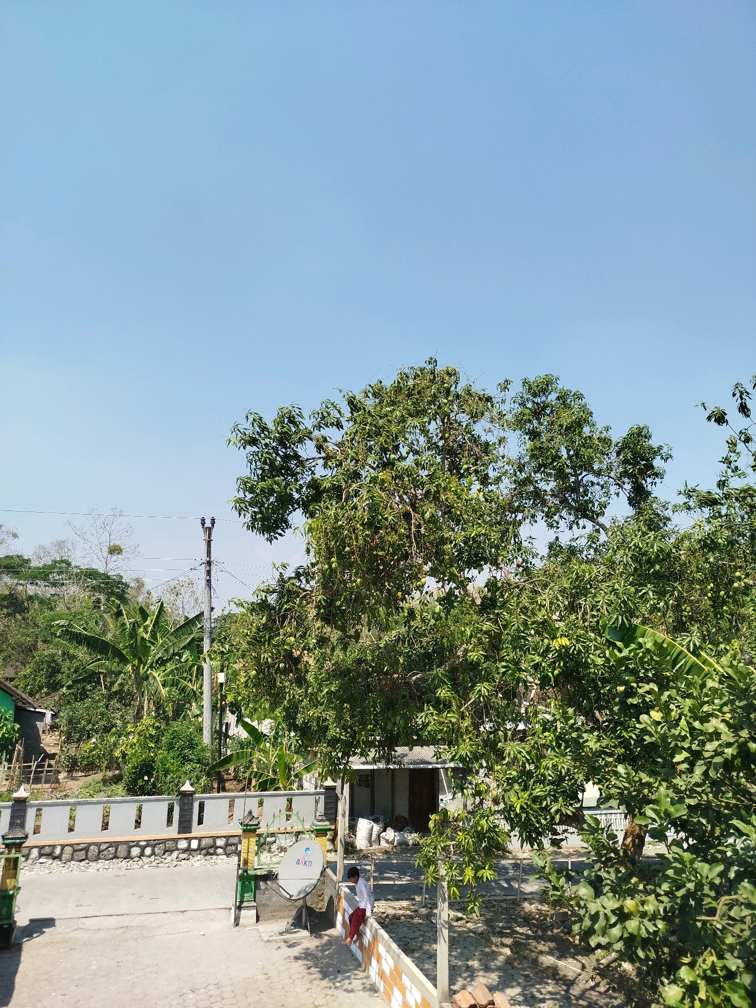 The image depicts a sunny day in Semin, Indonesia, with a clear blue sky dominating the upper portion. In the foreground, a paved area with some debris and terracotta tiles leads to a low wall. A person wearing a white shirt and red pants is seated on this wall, facing away from the camera. To the left of the person is a satellite dish mounted on a small concrete structure. Beyond this area, a stone and concrete wall with decorative openings runs horizontally.
Behind the wall, lush green foliage and trees, including banana trees, create a dense natural environment. A large tree with many green fruits, possibly mangoes, is prominent in the middle ground. In the background, there are glimpses of simple buildings and more vegetation, with a gentle slope of the land visible. A utility pole with wires is also present amongst the trees, indicating the presence of infrastructure. The overall scene suggests a rural or semi-rural setting in Indonesia, bathed in bright sunlight.