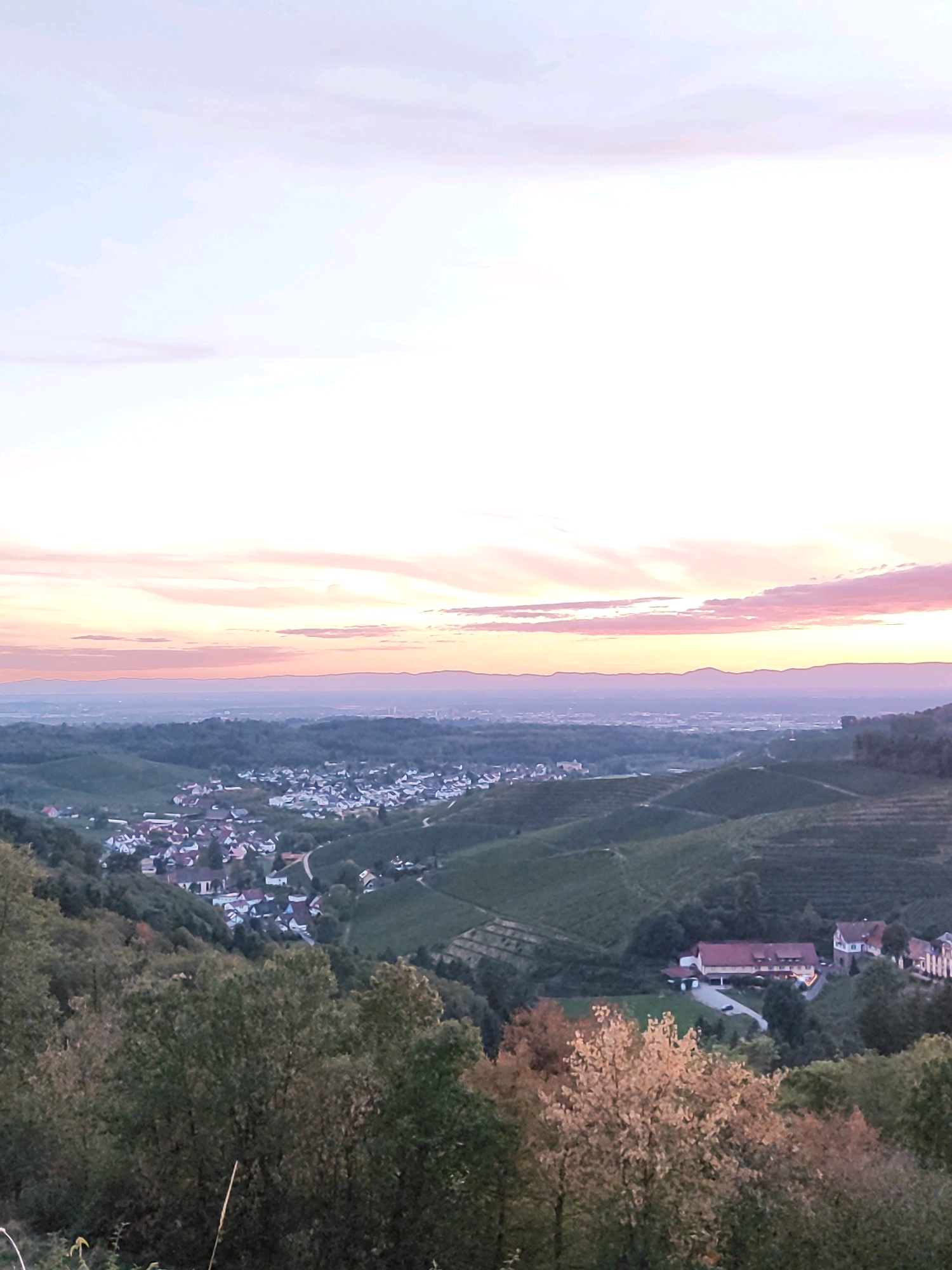 The image captures a serene panoramic view of Durbach, Germany, during a sunset. The sky is painted with soft hues of pink, orange, and pale blue, transitioning into a hazy horizon where distant mountains are faintly visible. In the mid-ground, a small town with red-tiled roofs is nestled among rolling green hills, some of which are terraced vineyards. A few buildings, including what appears to be a winery or large estate with a red roof, are situated amidst the greenery in the foreground. The foreground is dominated by lush trees, with some exhibiting the warm colors of autumn foliage. The scene conveys a sense of tranquility and natural beauty, typical of a rural European landscape at dusk. There are no people or animals visible in the frame.