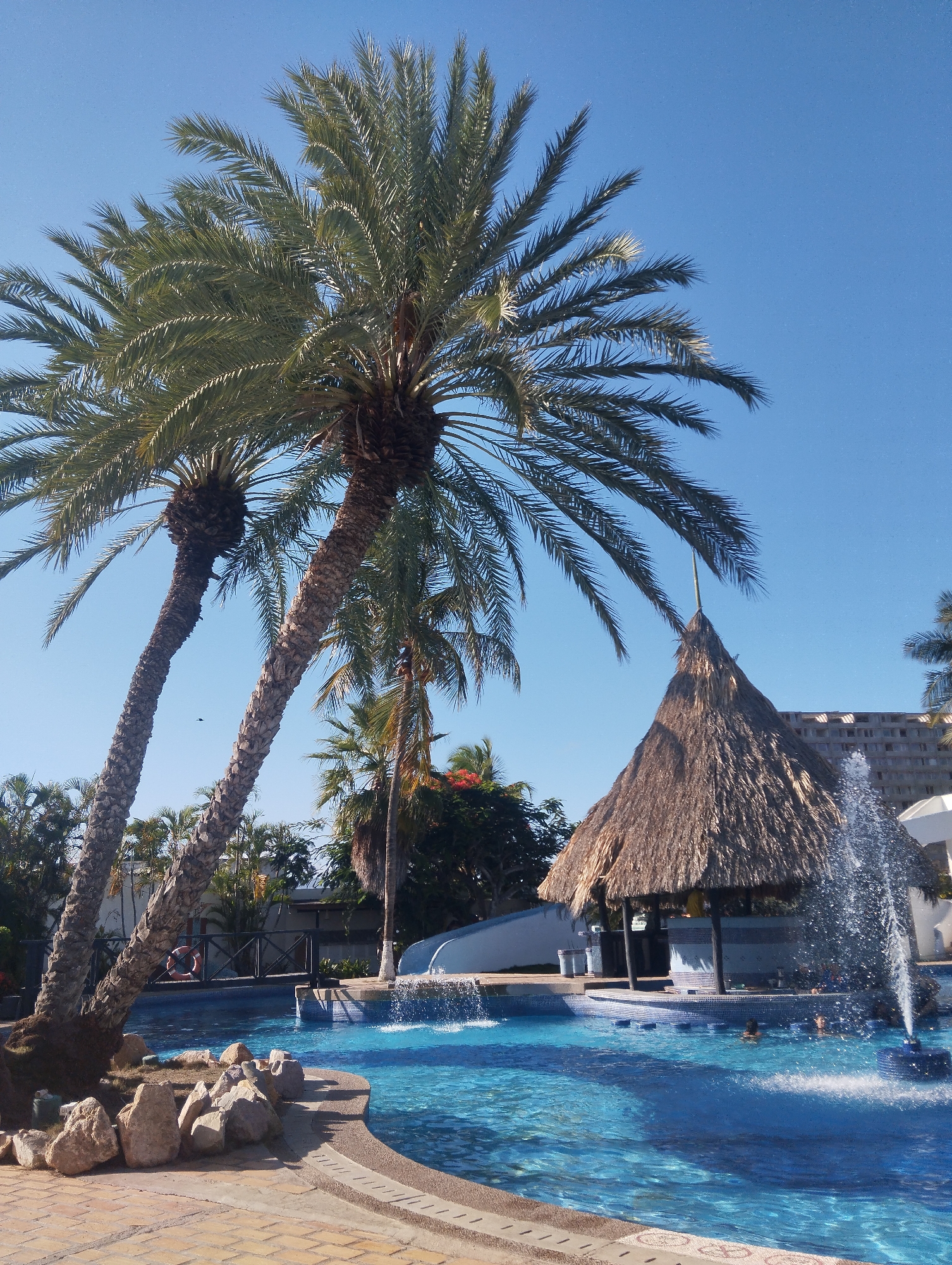 The scene depicts a swimming pool area in the city of Porlamar, Venezuela, on a bright, sunny day. The pool, filled with clear blue water, features a thatched-roof bar in the center. A fountain is visible within the pool. Several individuals are swimming and interacting in the pool. Tall palm trees are present, some leaning over the pool area. A water slide can be seen in the background. The pool edge is decorated with rocks and paved with brick. A bridge with railings crosses over the pool. A multi-story building is visible in the distant background.