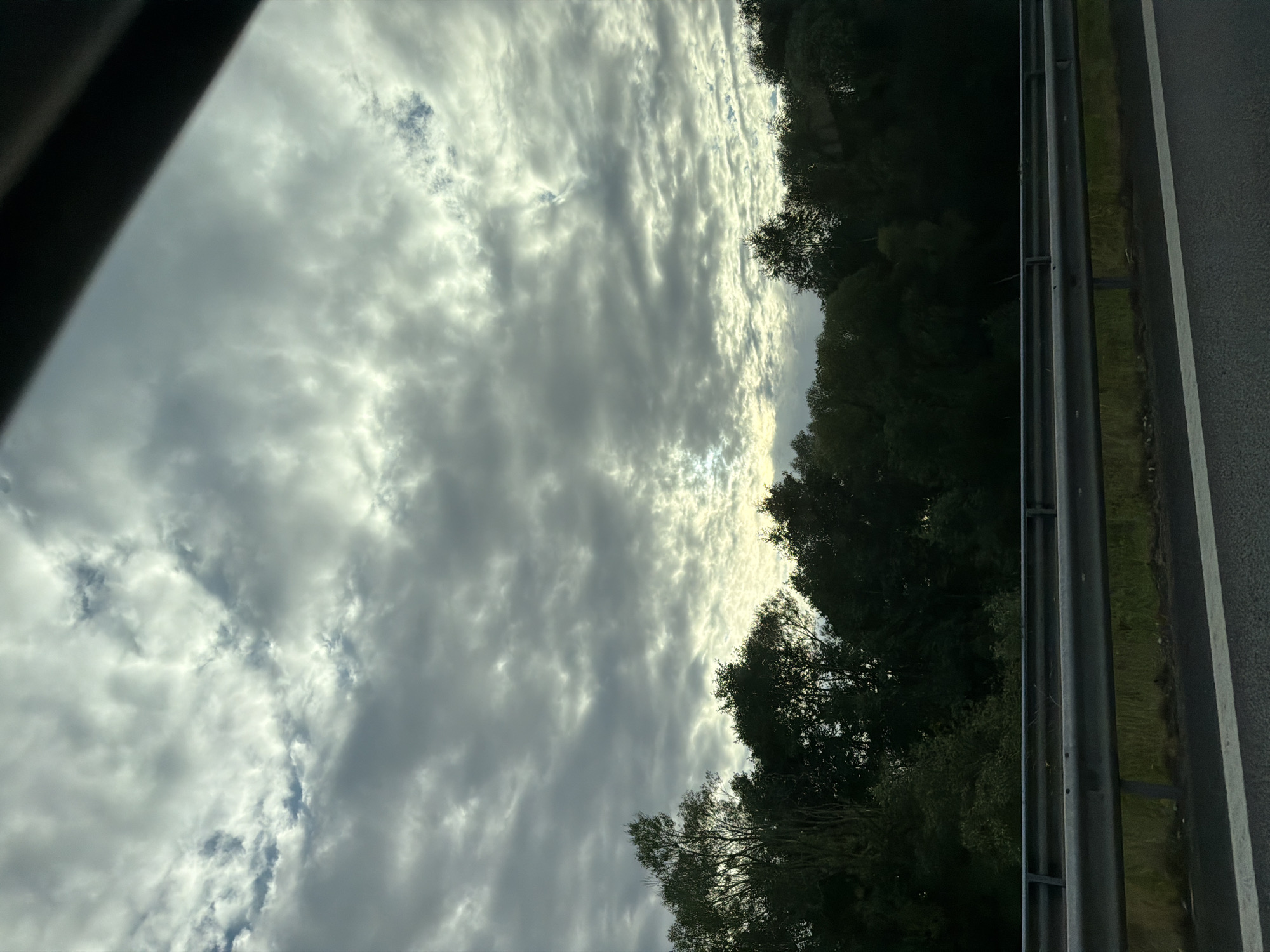 The image depicts a view from a car traveling on a road, likely a highway, in Trönninge, Sweden. The foreground shows a portion of the road with a white line marking the lane and a metallic guardrail separating the road from the adjacent terrain. Beyond the guardrail, there is a strip of grass and then a dense line of dark green trees forming a treeline. The sky above is filled with a dramatic cloud formation, characterized by scattered, textured clouds with patches of light breaking through, suggesting either an overcast day with intermittent sunlight or the approach of dawn or dusk. The overall atmosphere is muted due to the cloud cover. There are no people or animals visible in the scene. The perspective is that of a passenger looking out from a vehicle.