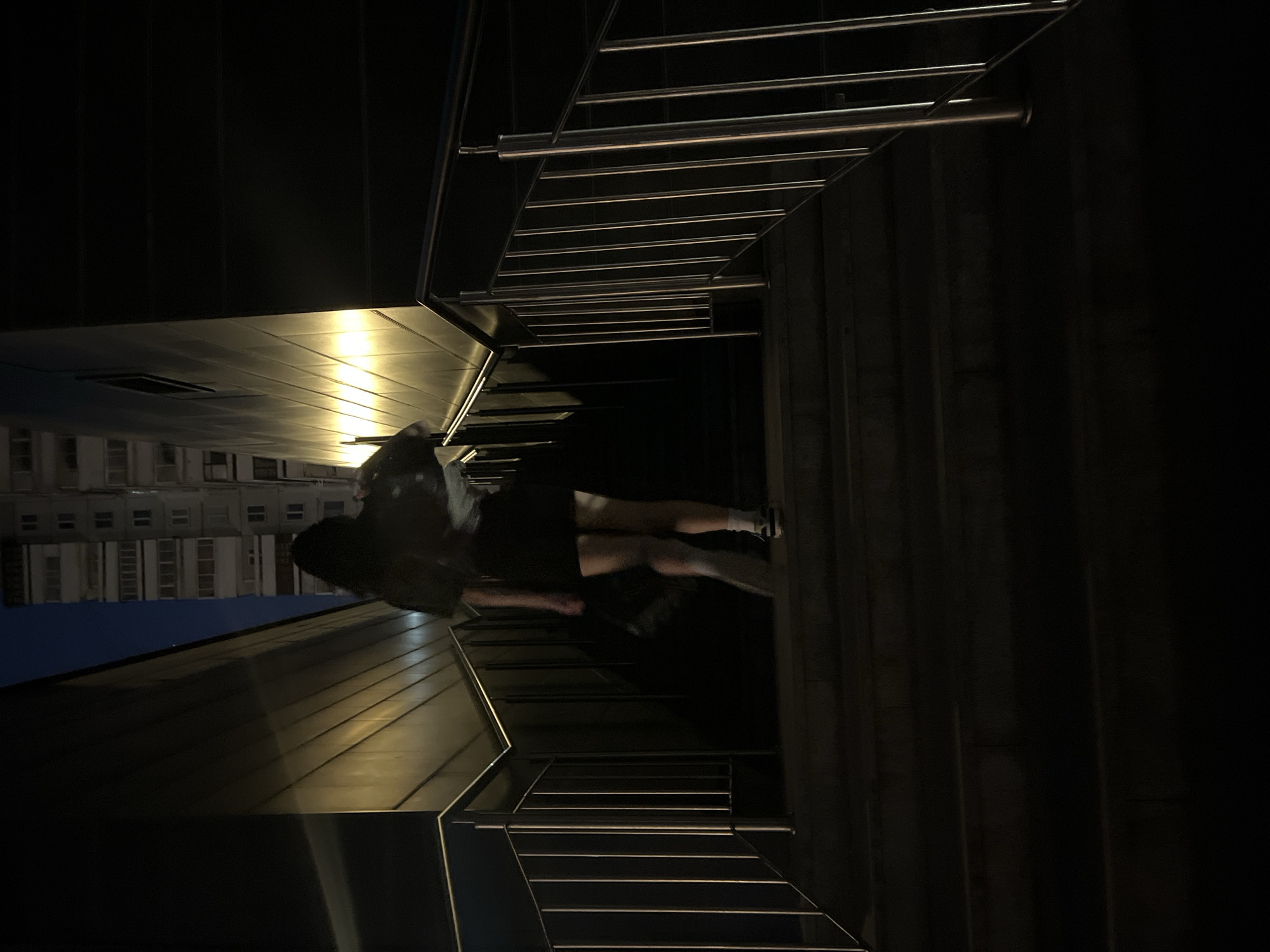 The image depicts a person walking up a dimly lit outdoor staircase at night. The person, whose gender is not clearly discernible due to the low light and their clothing, is wearing a dark top and a short dark skirt, paired with white socks and sneakers. Their hair is long and dark, obscuring their face. They are seen from behind, with their right leg in mid-stride.
The staircase is flanked by modern, dark-colored walls with metallic siding that reflects a warm, yellow light, suggesting artificial illumination from above or along the side. The banisters are made of polished metal. In the background, a tall, multi-story building with visible windows and balconies is illuminated against the dark night sky, indicating an urban setting. The overall atmosphere is somewhat mysterious due to the low light and the obscured identity of the individual. The location is identified as Krasnoyarsk, Russia, a detail not visually evident from the image itself but provided as context.