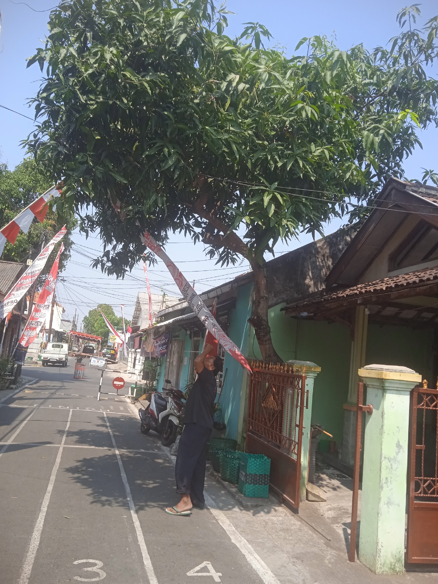 The image depicts a street scene in Surakarta, Indonesia, with a man standing on the side of the road, reaching up to adjust a long, red and white striped banner attached to a tree. The banner appears to be a celebratory decoration, possibly for Independence Day. The street is paved and marked with white lines, suggesting it may be used for activities or as a race track. Several other red and white flags are visible, hanging from poles and buildings, further indicating a festive occasion. A motorcycle is parked on the side, and a white truck is seen in the distance. The buildings lining the street are simple, typical of Indonesian residential architecture, with tiled roofs and painted walls. The environment is sunny with clear blue skies, and the overall atmosphere suggests a community event or celebration.