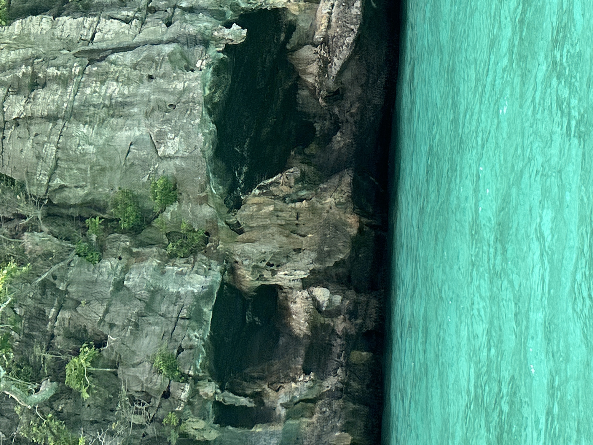 A limestone cliff face, characterized by its rough texture and varying shades of gray and green, dominates the upper portion of the image. Lush vegetation, including trees and smaller plants, grows from crevices and atop the cliff. The base of the cliff features several dark, cavernous openings, indicative of caves or overhangs. Below the cliff is a body of vibrant, turquoise water, its surface rippled by gentle waves. The water is clear enough to show a darker, submerged area beneath the cliff's overhang. The scene depicts a natural coastal environment, likely in a tropical region. Given the provided location, this could be a scene near Haad Yao, Thailand, a place known for its limestone karst formations and clear waters. There are no people or explicit human actions depicted in the image.