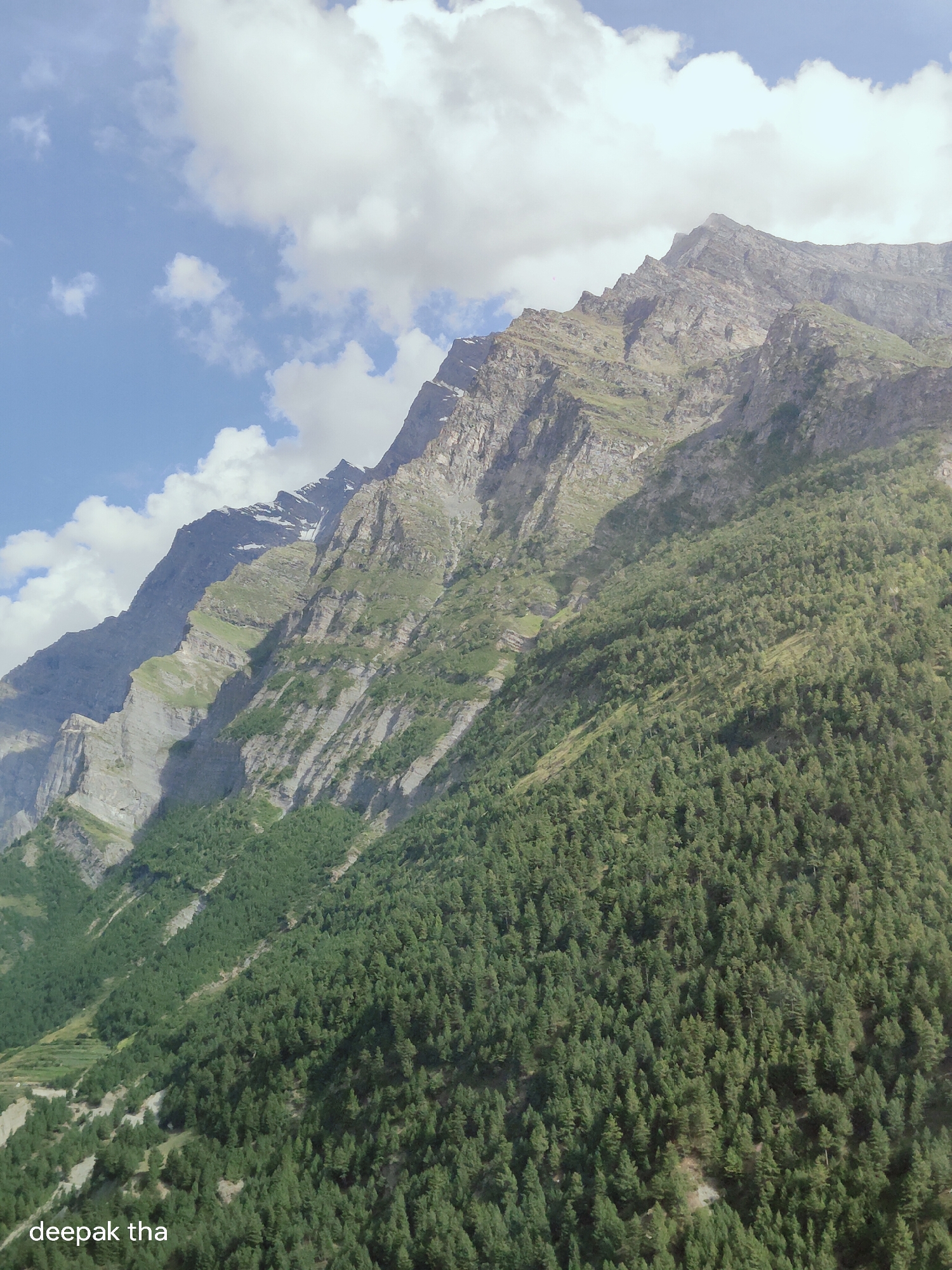 The image depicts a steep, rocky mountain slope covered in dense coniferous forest. The mountain features rugged cliffs and a treeline that stretches across the vast expanse of the slope. The sky above is a bright blue, dotted with fluffy white clouds. In the lower left corner of the image, text reads "deepak tha." The scene is a natural landscape with no visible human structures or activity, suggesting a remote or undeveloped area. The image appears to be a landscape photograph taken from a distance, showcasing the grandeur of the mountain and its forested terrain. Based on the provided context, this image is located in the city of Gondhla, India.