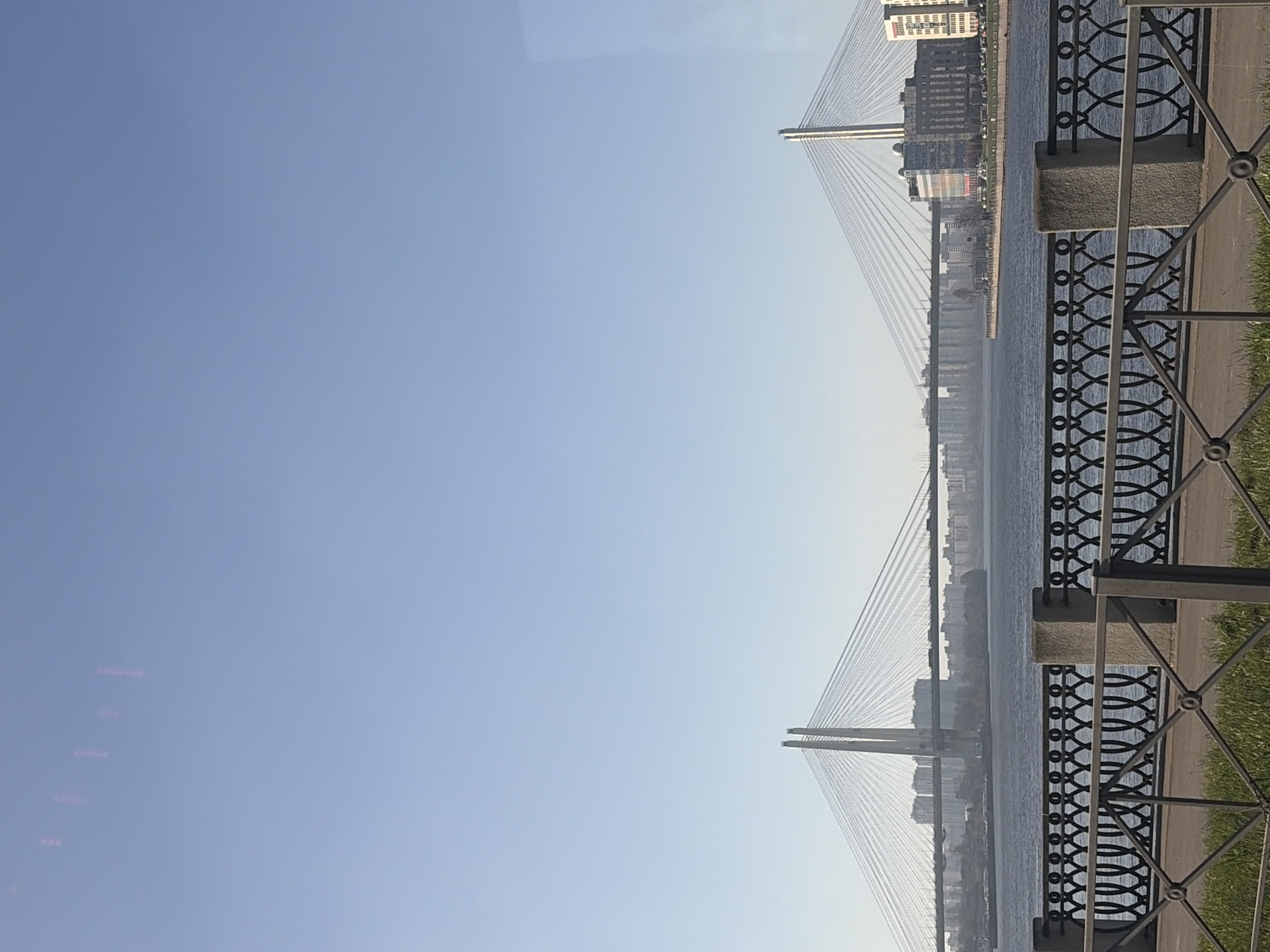 The image captures a view of the Bolshoy Obukhovsky Bridge in Saint Petersburg, Russia, a cable-stayed bridge spanning the Neva River. The bridge's two prominent pylons are visible, supporting the deck with a network of cables. The Neva River flows between the bridge pylons. The cityscape of Saint Petersburg is visible along the riverbank, including buildings and structures. A decorative metal fence runs along the foreground, separating the viewer from the water's edge. Grass can be seen behind the fence. The sky is blue, with minimal cloud cover.