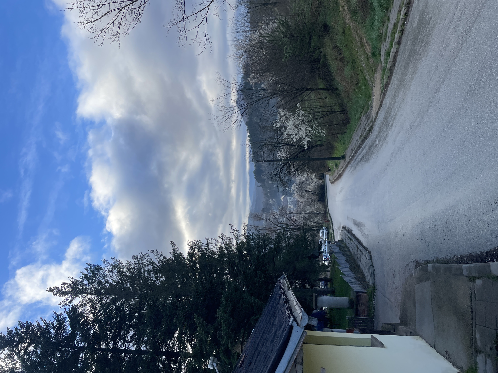 The image shows a view of a street in Elena, Bulgaria, with a mix of blue sky and clouds overhead. A road slopes downward from right to left, with a concrete curb and grassy bank on the right and trees on the left. Cars are parked further down the road. In the foreground, the corner of a house with a dark roof and yellow siding is visible. Branches from trees frame the top of the image, and a mountain or hill can be seen in the background.