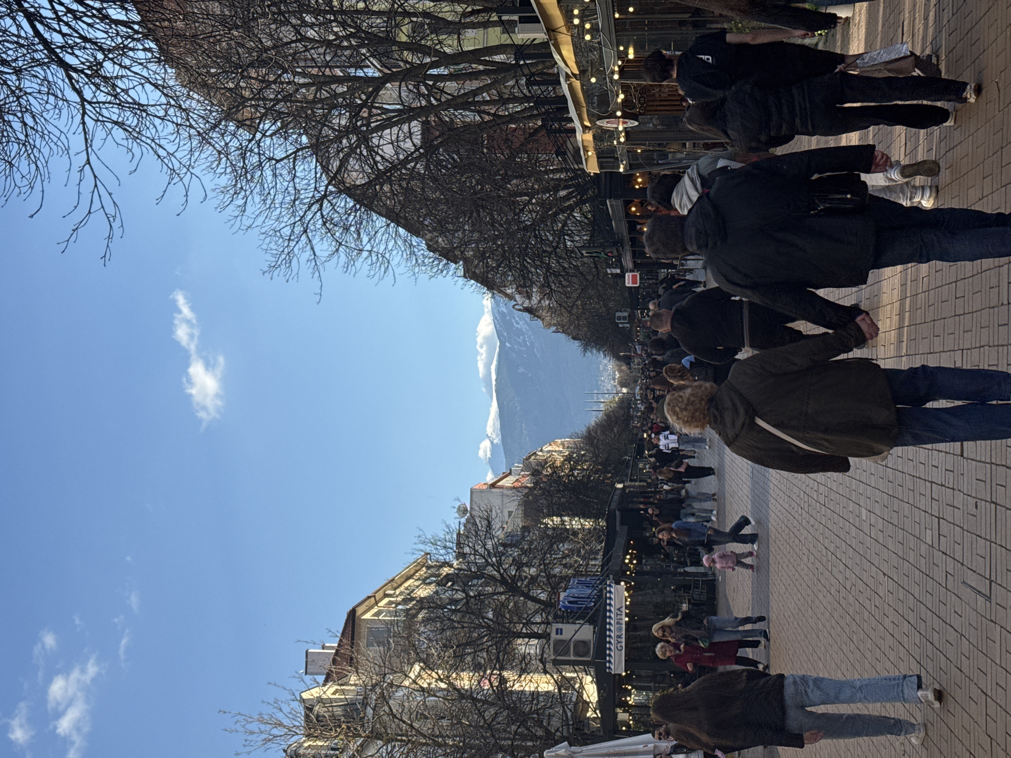 The image captures a street scene along Vitosha Boulevard in Sofia, Bulgaria. A wide pedestrian walkway paved with rectangular blocks stretches into the distance, filled with numerous pedestrians walking in both directions. On either side of the walkway are buildings, some lined with shops and cafes, indicated by the presence of awnings and strings of lights. Bare trees line the street, their branches reaching into a clear blue sky dotted with a few clouds. In the distance, at the end of the street, a mountain range with snow-capped peaks is visible. People are dressed in everyday casual clothing. The overall scene depicts a busy day in a pedestrian zone within a city.