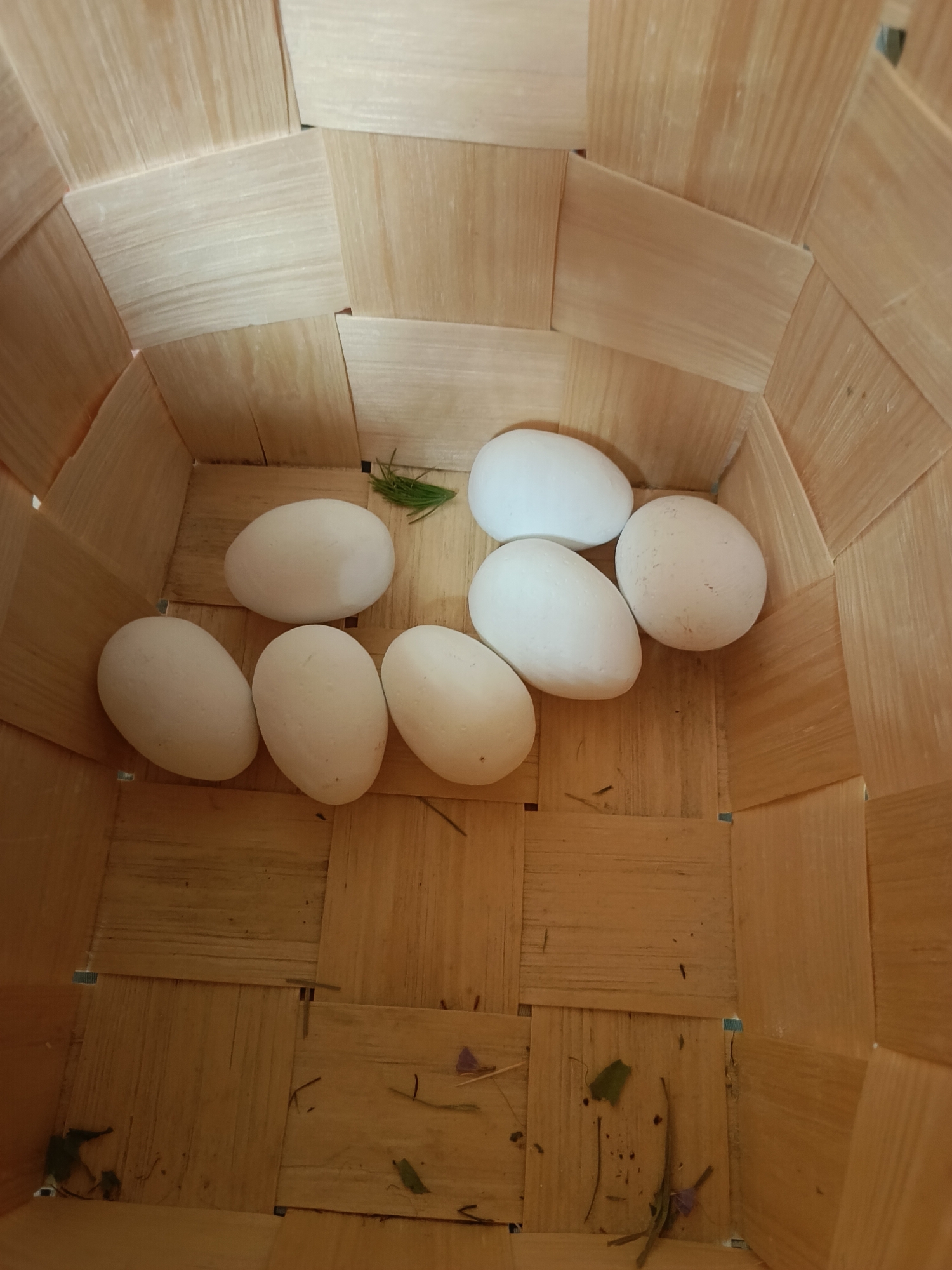 Eight white eggs are arranged in a woven wooden basket. The basket appears to be cylindrical and is constructed from thin strips of light-colored wood. Some dried grass and small flower remnants are scattered on the bottom of the basket. The lighting suggests an indoor setting. The image does not contain any information about the location of Поповка, Russia.