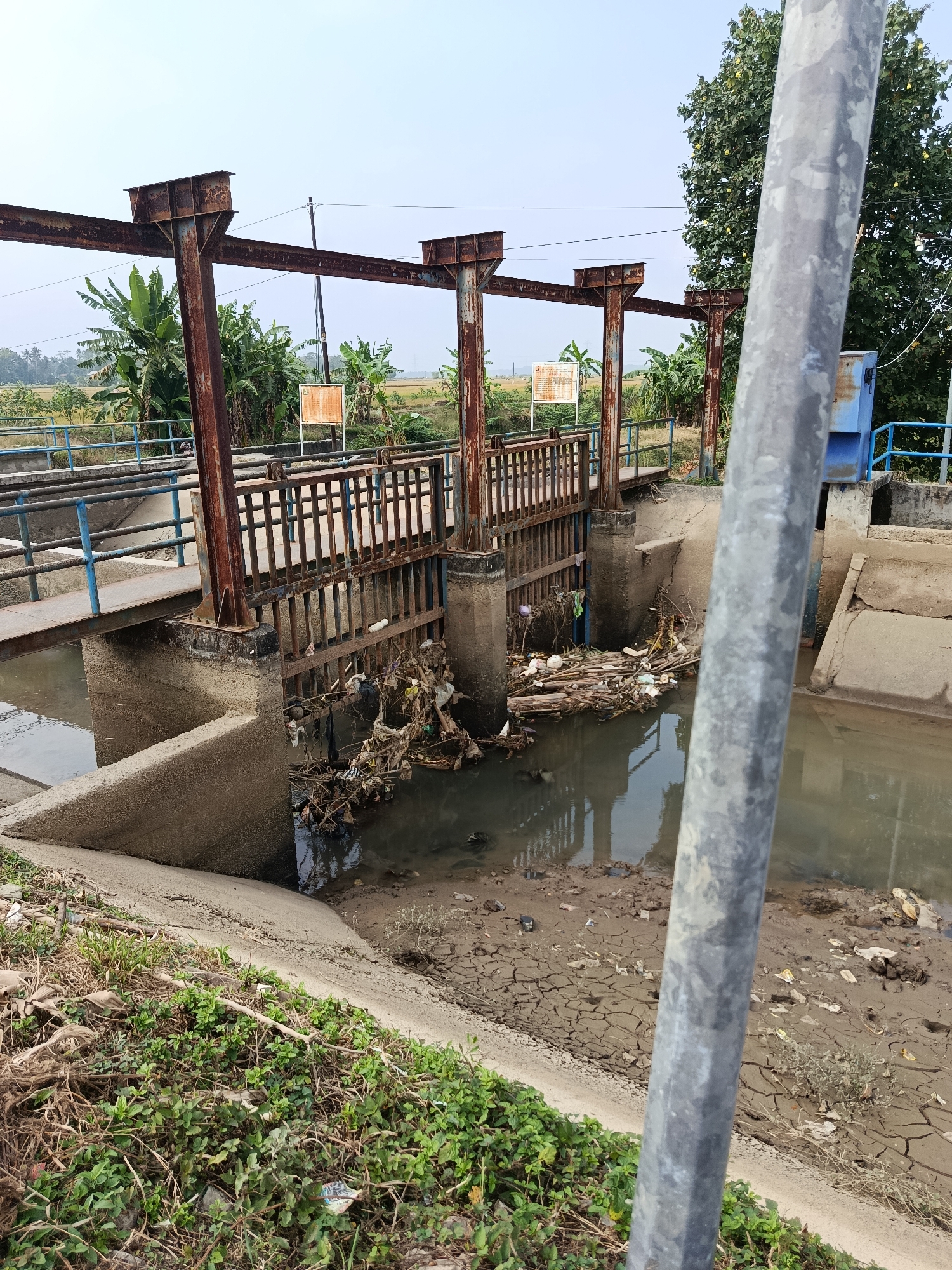 A wide shot shows a rusty metal water gate structure over a canal filled with debris and some water. The canal walls are concrete. Beyond the water gate, there is a bridge with blue railings, and further in the background, there are banana trees and rice fields, indicative of a rural or semi-rural setting near Bantarsari, Indonesia. The sky is clear and pale. A large, out-of-focus metal pole is in the foreground, to the right of the image. The ground near the canal is dry and cracked in some areas, with scattered vegetation and more debris.