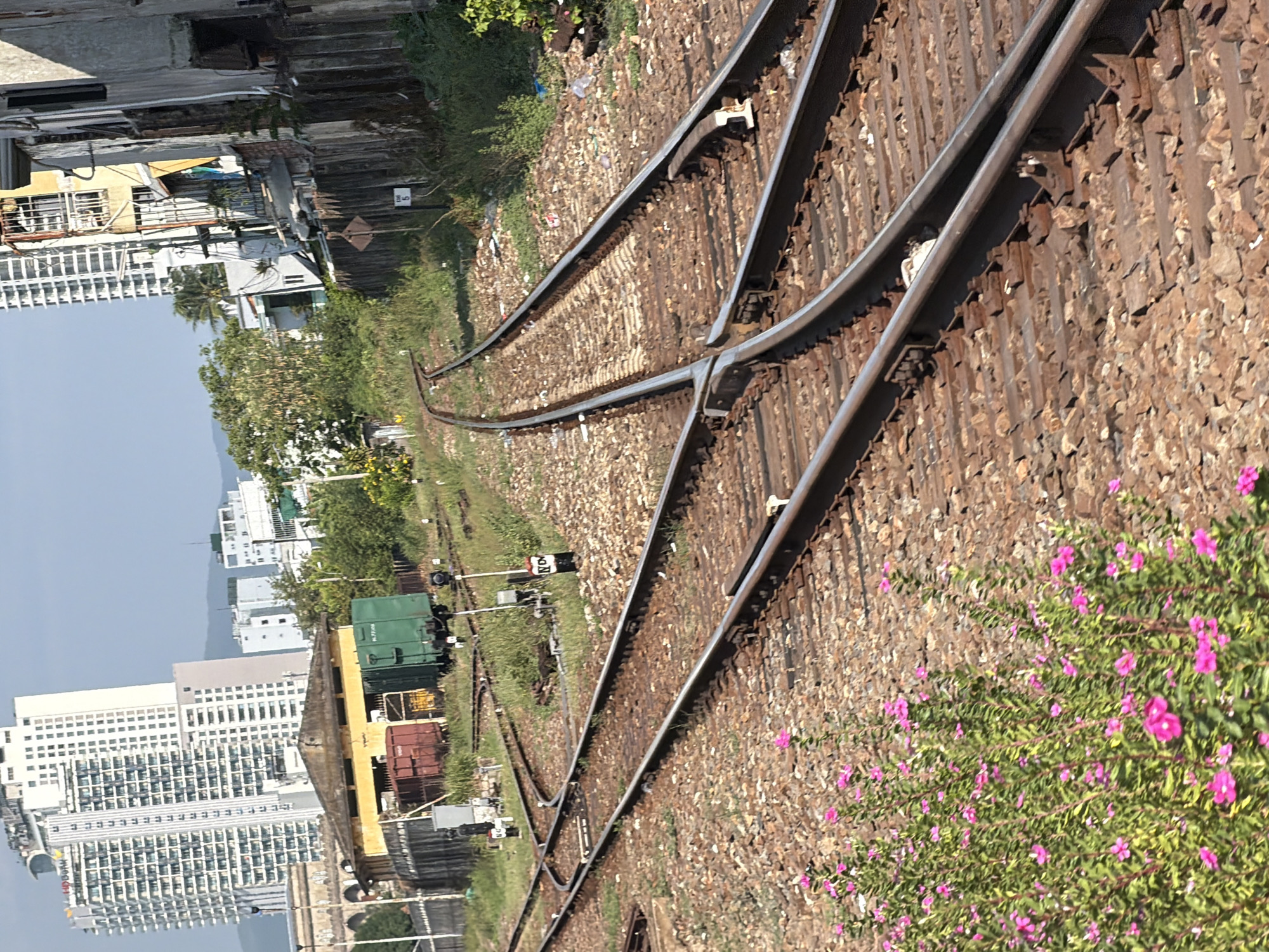 The image depicts a railway track junction in Nha Trang, Vietnam, with tall, modern buildings visible in the background, suggesting an urban environment. The foreground is dominated by the railway tracks, laid on ballast and surrounded by dry grass and some scattered pink flowers. Several railway signals are present along the tracks, some displaying numbers.
In the middle ground, a low, yellow building with a peaked roof stands adjacent to the tracks. To its left, two train cars are parked: one appears to be a dark red boxcar, and the other is a green freight car. Beyond these structures, more buildings and greenery are visible. The sky is a clear blue, indicating a sunny day. The overall scene suggests a functional but somewhat unkempt area where the railway infrastructure intersects with the urban landscape.
