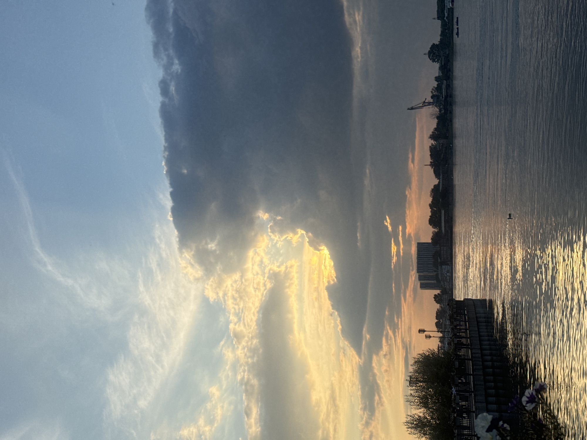 The image depicts a serene riverside scene at sunset in Irkutsk, Russia. The sky is a dramatic canvas of light and shadow, with bright golden sunlight breaking through a large, dark cloud bank on the left, casting a warm glow on thinner, wispy clouds. To the right, the sky transitions to a darker, more ominous grey.
In the foreground, a paved walkway with a dark railing lines the edge of a calm river. On the left side of the walkway, a few potted flowers, including purple and white petunias, add a touch of color. The river's surface reflects the golden hues of the sky, creating shimmering patterns of light. A single duck is visible swimming in the water.
Across the river, the silhouette of the city is visible. A row of trees stands behind the walkway, obscuring the lower portions of buildings. In the mid-ground, a cluster of tall, modern apartment buildings is prominent. Further to the right, industrial elements are apparent, including a large crane and other structures indicative of a port or industrial area. The overall atmosphere is peaceful, with the setting sun providing a beautiful and dynamic backdrop.