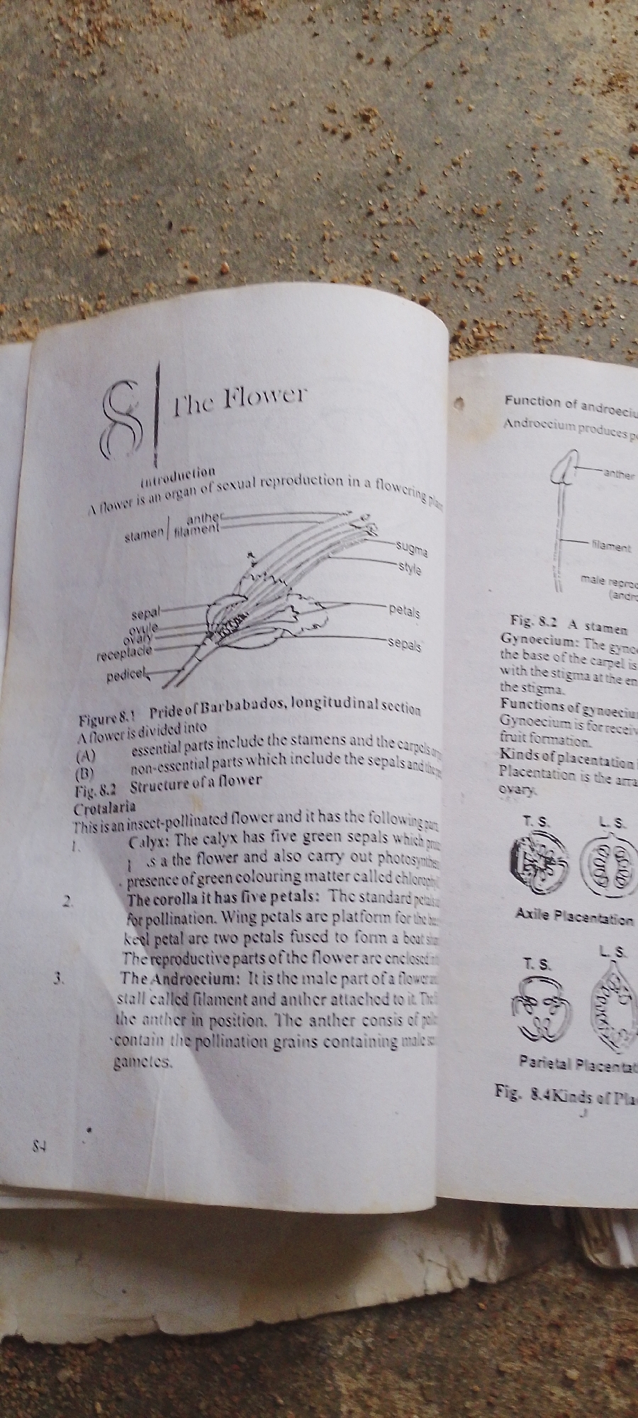 The image shows an open book on a sandy surface. The book has two pages visible. The left page has the title "The Flower" and a diagram illustrating the parts of a flower. The text describes the flower and its reproductive parts. The right page has text discussing the function of the gynoecium and androecium, along with diagrams of placentation. The sandy surface suggests an outdoor environment. The image does not provide any information about the city of Jalingo, Nigeria, or any people present.