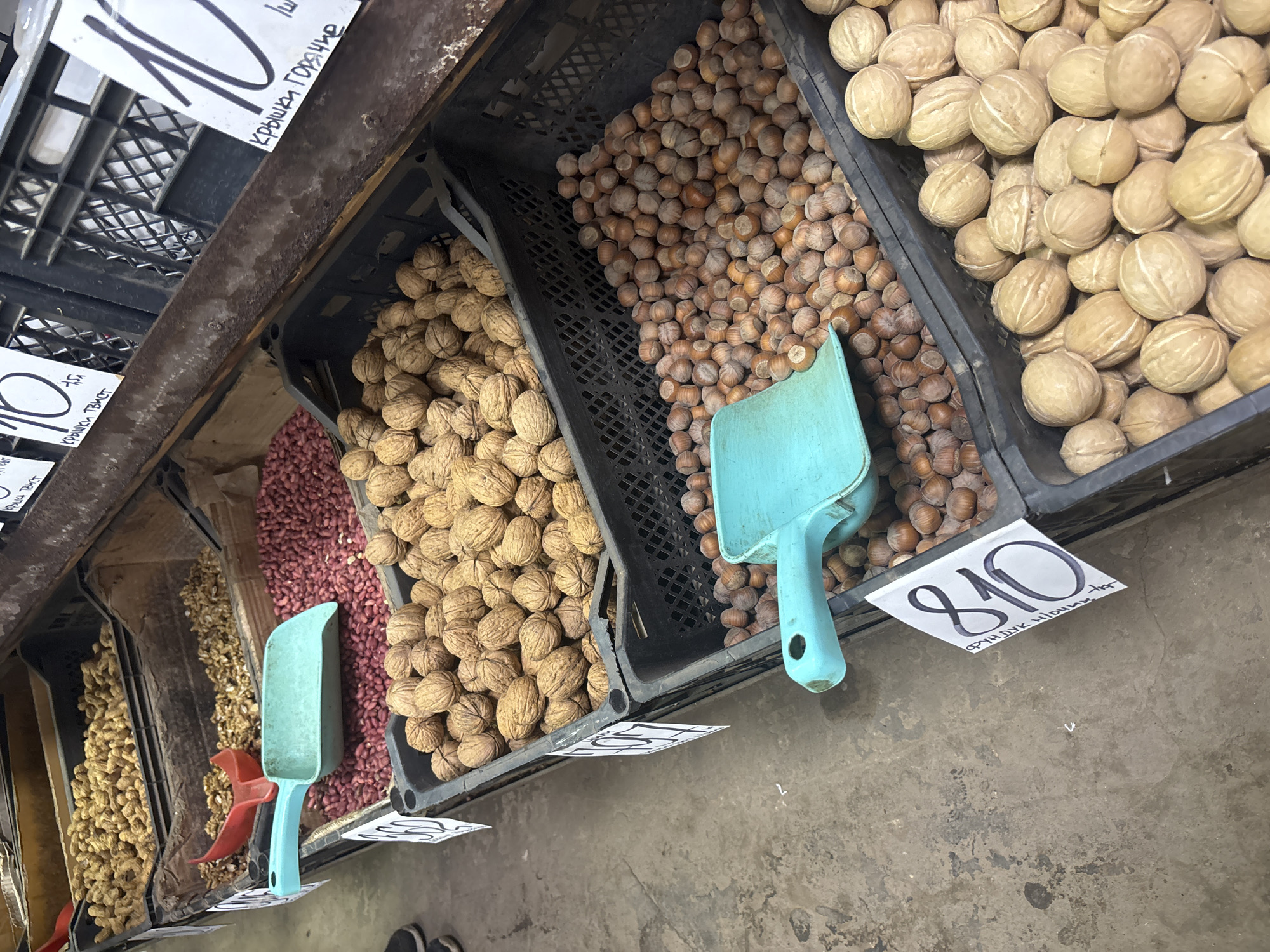 This image captures a close-up, elevated view of a market stall displaying various types of nuts in plastic crates. The setting appears to be an indoor or semi-sheltered market, indicated by the concrete floor and simple display setup.
The primary subjects are large quantities of different nuts. From left to right, partially visible crates contain what appears to be peanuts (some shelled, some unshelled), then whole walnuts, followed by a large crate of hazelnuts, and finally, another crate of what look like a lighter variety of walnuts or possibly another type of nut. Each crate is equipped with a plastic scoop, one turquoise and one red, for serving.
The activity taking place is the sale of these nuts at a market. The presentation suggests bulk purchase, with customers likely scooping their desired amount.
Notable details include the rustic metal beam running across the top of the display and various handwritten price tags. One prominent white tag in the center, near the hazelnuts, shows "810" in large black numbers, with smaller Cyrillic text below it that reads "ФУНДУК НІОЧИН" (FUNDUK NIOCHIN), which translates to "Hazelnuts Niochin" (likely a specific variety or origin, although "Niochin" is not standard Russian for hazelnut variety). Other visible tags, partially obscured or higher up on the metal beam, also feature numbers like "10" and Cyrillic text. One reads "КРЫШКА ГОРЯЧАЯ" (KRYSHKA GORYACHAYA - Hot Lid) and another "КРЫШКА ТВИСТ" (KRYSHKA TWIST - Twist Lid), which seem to refer to jar lids, possibly indicating that the stall sells other items or these tags are repurposed. The general condition suggests a busy, utilitarian market environment. The time of day and weather are not discernible.