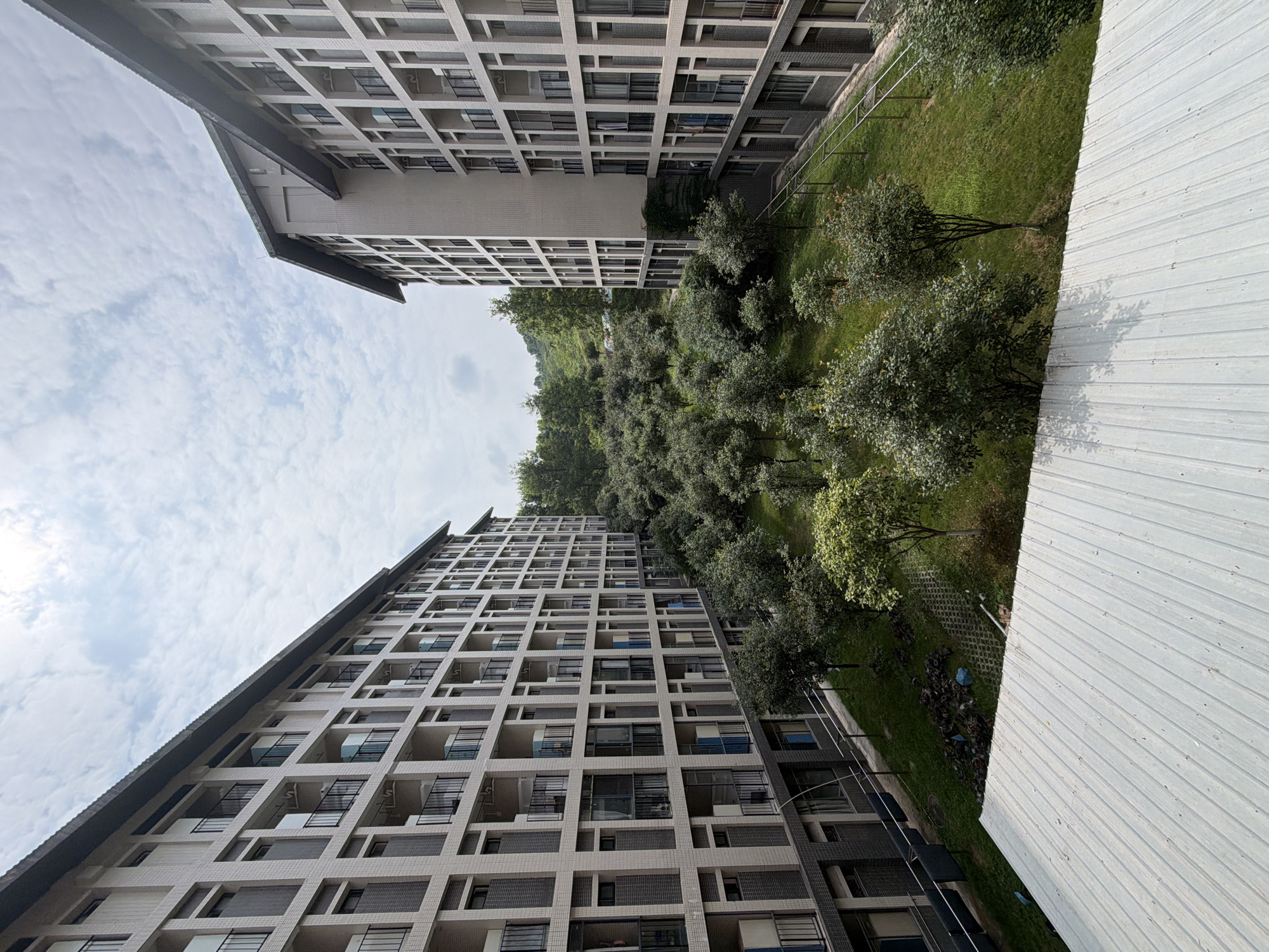 The image captures a courtyard between two identical, multi-story apartment buildings in Jiangjin, China. The buildings are characterized by their light-colored, tile-covered facades, with numerous regularly spaced windows and balconies. The courtyards are filled with a dense arrangement of deciduous trees and shrubs, with manicured green lawns and a winding, paved pathway. The sky above is partly cloudy with a bright sun. In the foreground, a corrugated metal roof is visible. The overall scene suggests a residential complex with ample green space.