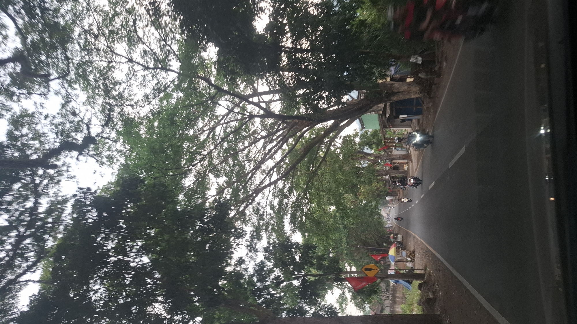 This is a photograph taken from inside a vehicle, looking forward along a paved road lined with trees. The road appears to be in a rural or suburban area of Susukan, Indonesia. On the left side of the road, there are several trees, some small stalls or shops, and red flags. A yellow traffic sign with a black exclamation mark is visible. On the right side of the road, there are more trees, some small structures, and what appear to be houses or shops. Several motorcycles are visible on the road, some with riders. One motorcycle on the right is brightly lit, suggesting it is moving. The overall lighting suggests it might be late afternoon or early morning, with overcast skies. The trees are dense, creating a canopy over parts of the road.