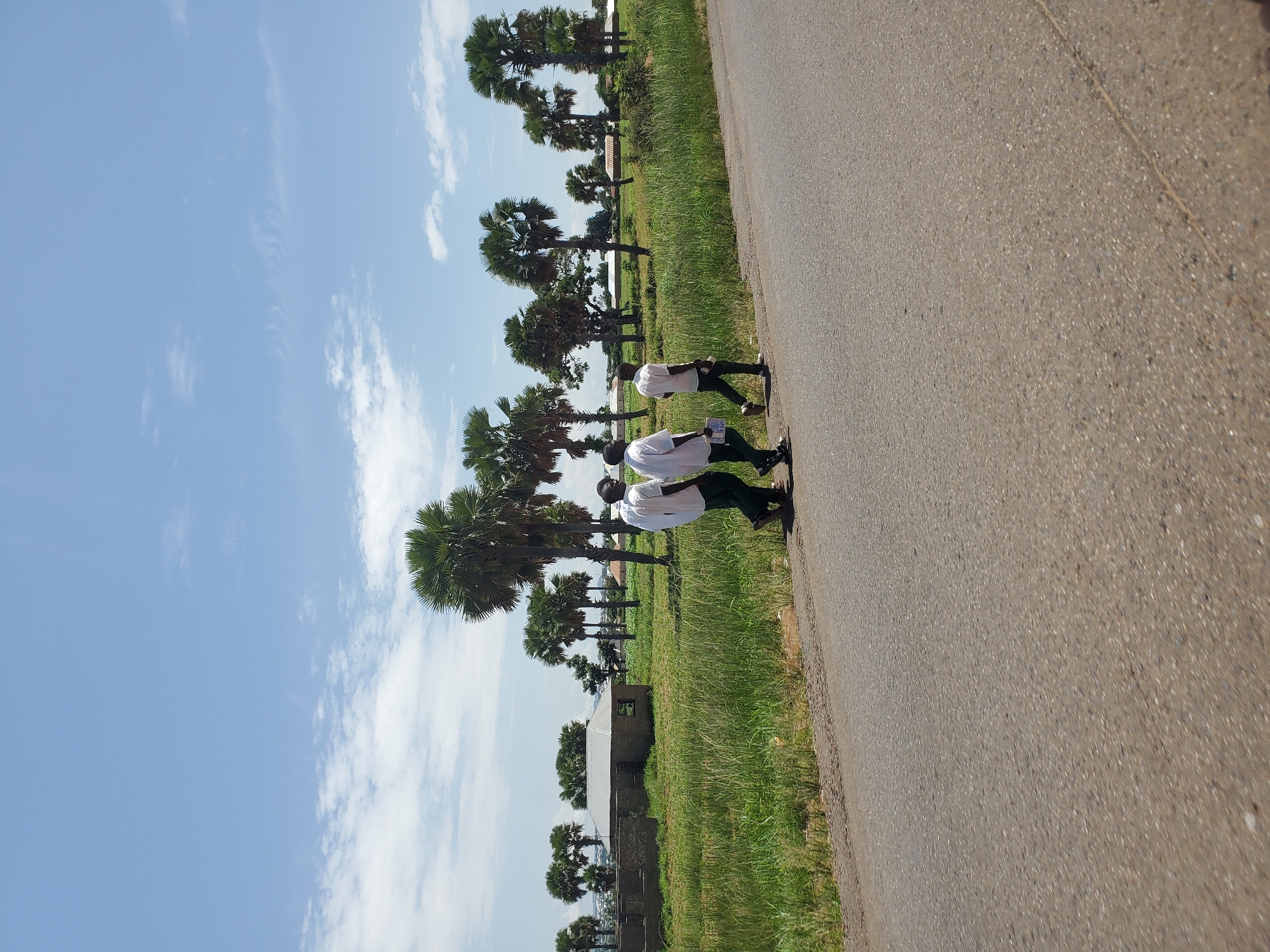 In Mangu, Nigeria, three young boys are captured walking along a paved road. The image is oriented vertically, with the road dominating the right side and a lush green grassy verge on the left. Beyond the grass, a line of palm trees stretches into the distance, with some trees appearing taller and more mature than others. The sky above is a clear blue with scattered white clouds.
The boys are dressed in white shirts and dark trousers, suggesting they might be students or in uniform. They appear to be walking in the same direction, with one boy slightly ahead of the other two. The lighting suggests it is daytime, likely mid-morning or afternoon, given the bright sunlight and clear sky. There are no strong shadows to indicate a specific time.
In the background, beyond the palm trees, there are hints of buildings and structures, including what looks like a partially constructed building with visible concrete blocks. There are no discernible emotions visible on the boys' faces due to the distance and angle of the photograph. The overall scene conveys a sense of everyday life in a rural or semi-rural African setting. No visible text is present in the image.