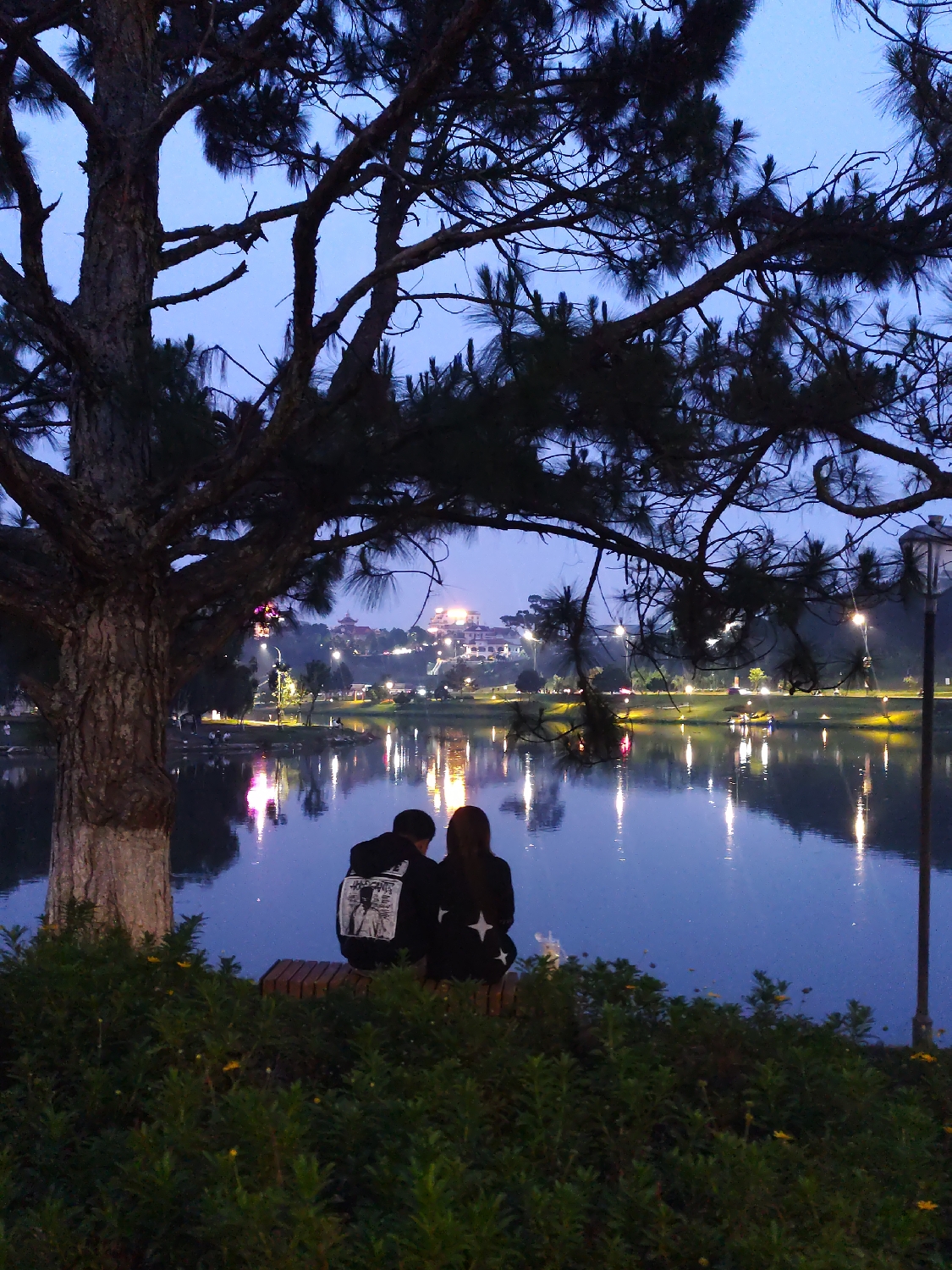 An atmospheric shot captures a romantic evening scene in Da Lat, Vietnam. The primary subjects are a couple seated on a wooden bench, their backs to the viewer, gazing across a tranquil lake or pond. The man, on the left, wears a dark hoodie with a distinct black and white graphic design on the back, appearing to depict figures and possibly some unreadable text. The woman, to his right, also wears dark attire, featuring white star patterns on the back of her top.
A large, gnarled tree with thick branches and sparse pine needles dominates the left side of the frame, silhouetted against the twilight sky. Its branches extend over the top, framing the scene. The sky above is a deep, muted blue, suggesting either dusk or early night.
Across the water, the distant shoreline is dotted with numerous artificial lights from buildings and streetlights, creating vibrant, elongated reflections that shimmer on the lake's surface. These reflections add depth and color to the otherwise dark body of water. The overall setting is illuminated by these city lights and the ambient blue light of the evening, creating a serene and picturesque landscape.
In the foreground, lush green foliage and bushes with small yellow flowers are visible, adding a touch of natural beauty to the bottom of the image. The mood conveyed is peaceful and intimate, with the couple seemingly lost in contemplation of the beautiful nocturnal view.