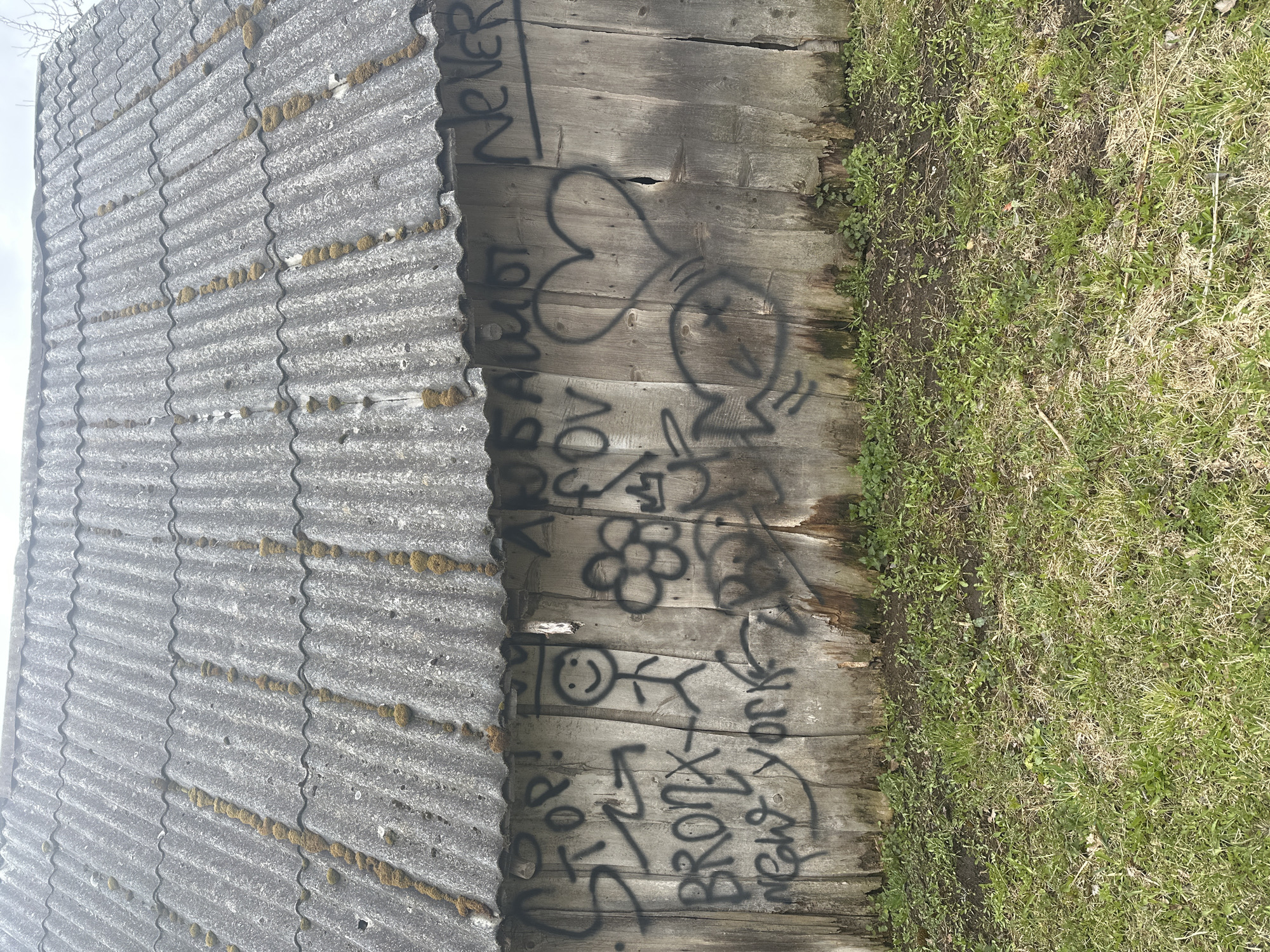 The image shows the side of a weathered wooden building with a corrugated roof. The roof is gray and covered with patches of moss. The building's wooden planks are stained and aged, and covered in black spray-painted graffiti, including "NEVER", a heart shape, a stick figure, a flower, and the words "Bronx, New York." To the right of the building is a patch of grass and weeds. The image suggests an abandoned or neglected building in an urban or rural environment. The city of Студзёнкаўскі сельскі Савет is not visible.
